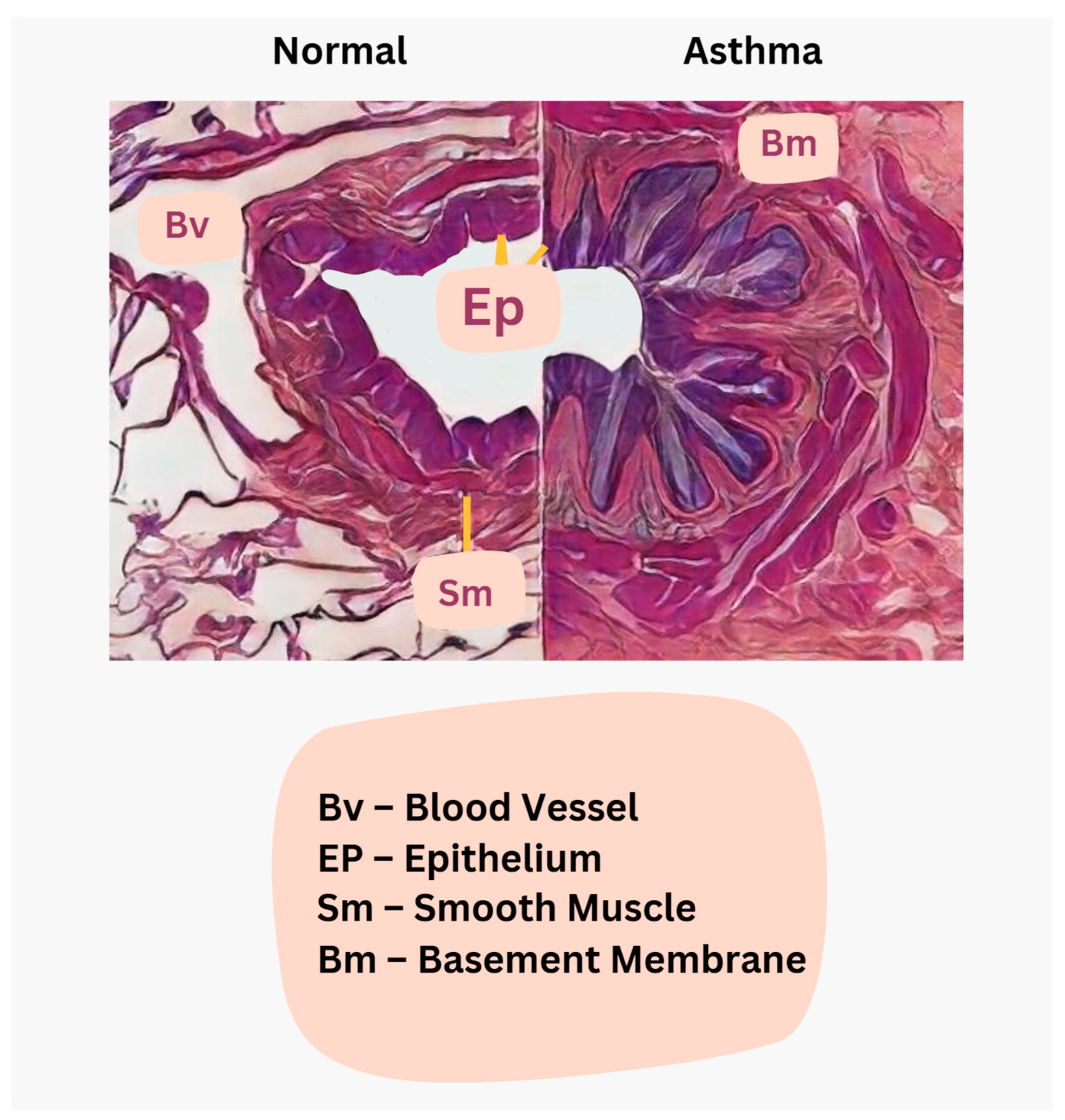 Jcm 14 04494 g010 Jcm 14 04494 g010