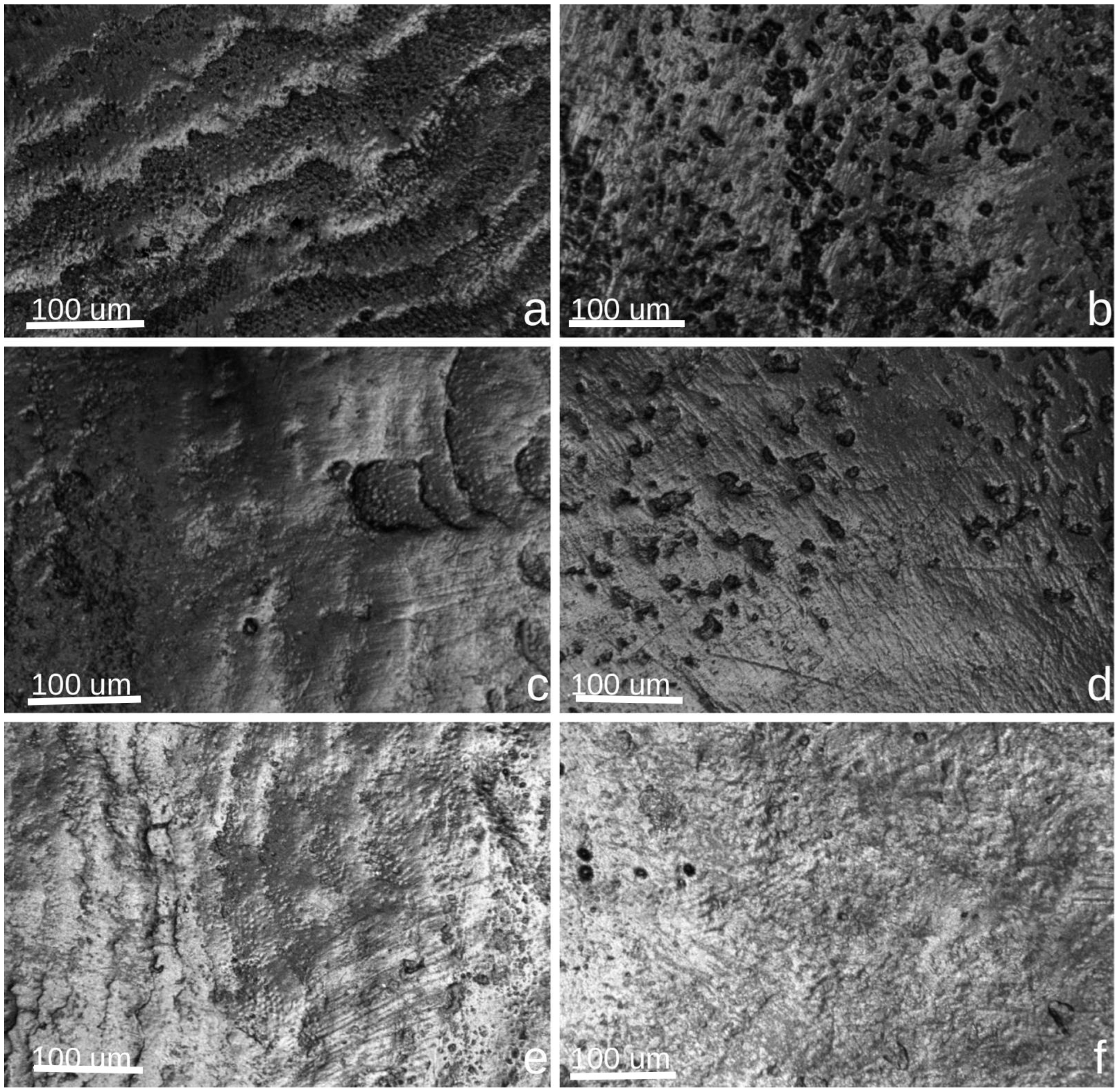 Jcm 14 04642 g002 Jcm 14 04642 g002