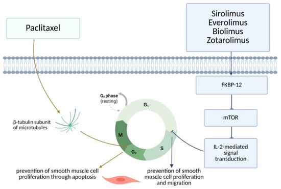 Drug-Eluting Stent Use in Percutaneous Coronary Interventions—A