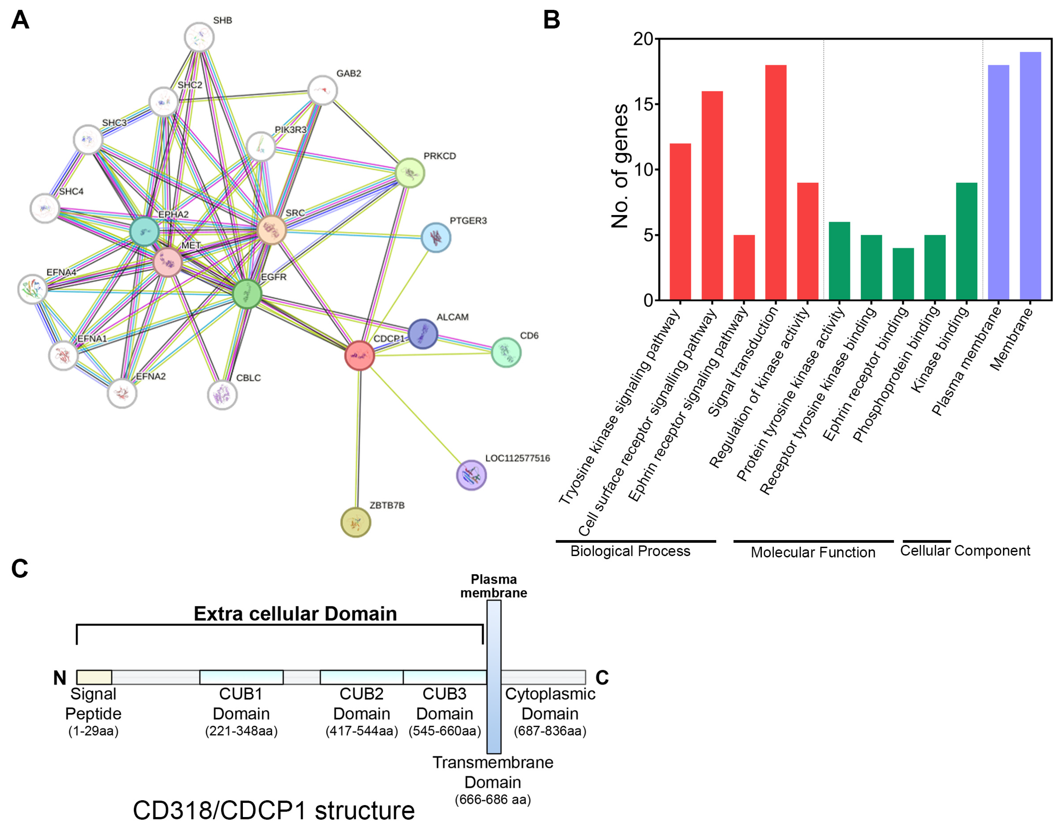Jcm 14 05139 g001 Jcm 14 05139 g001