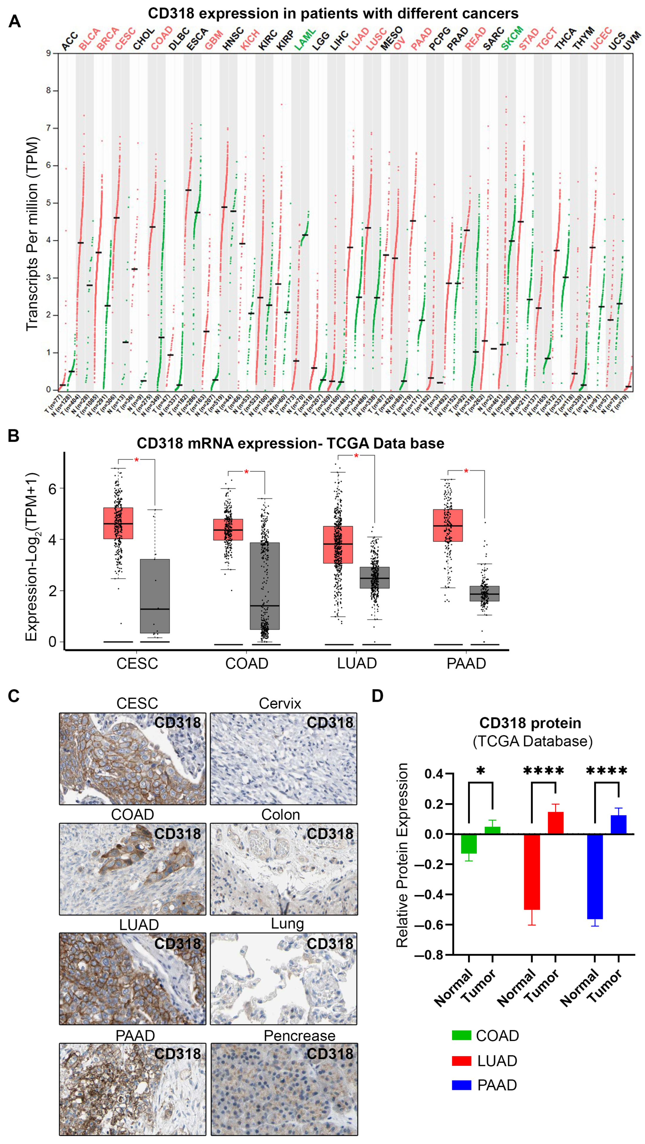 Jcm 14 05139 g002 Jcm 14 05139 g002