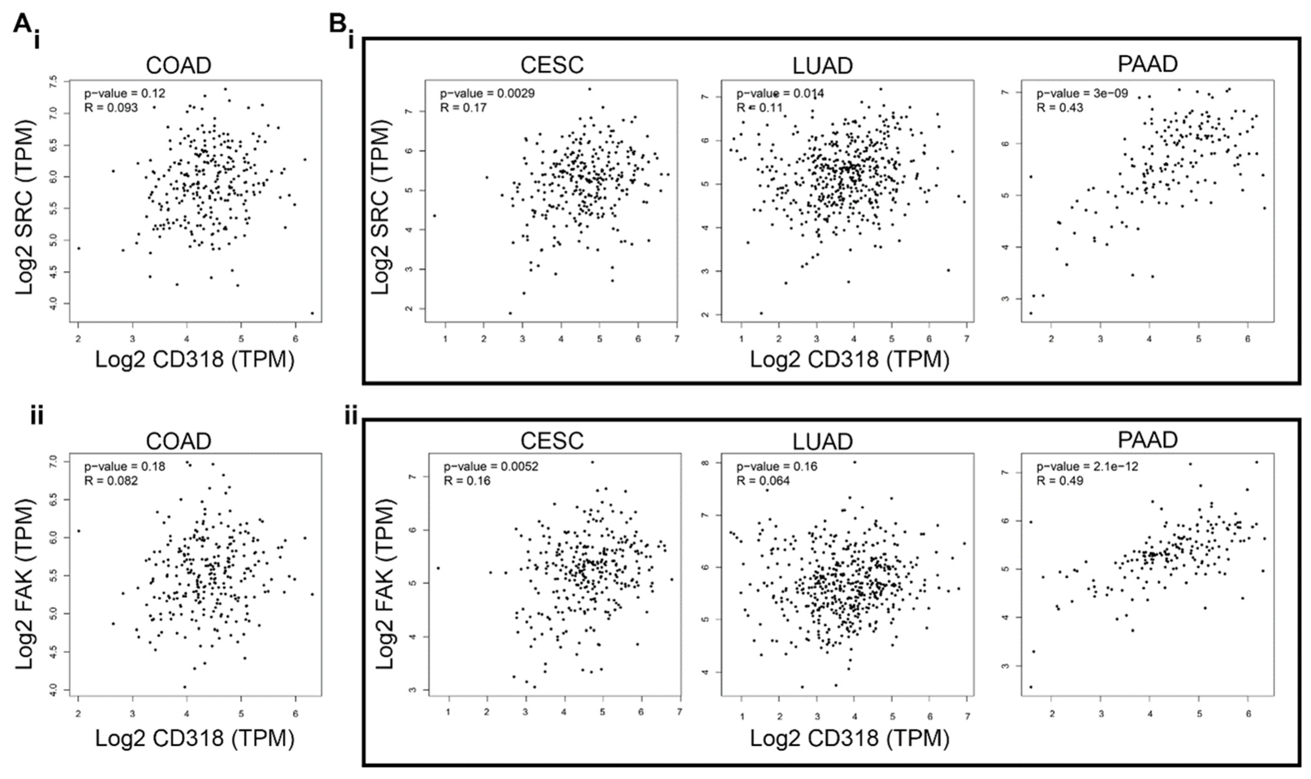 Jcm 14 05139 g003 Jcm 14 05139 g003
