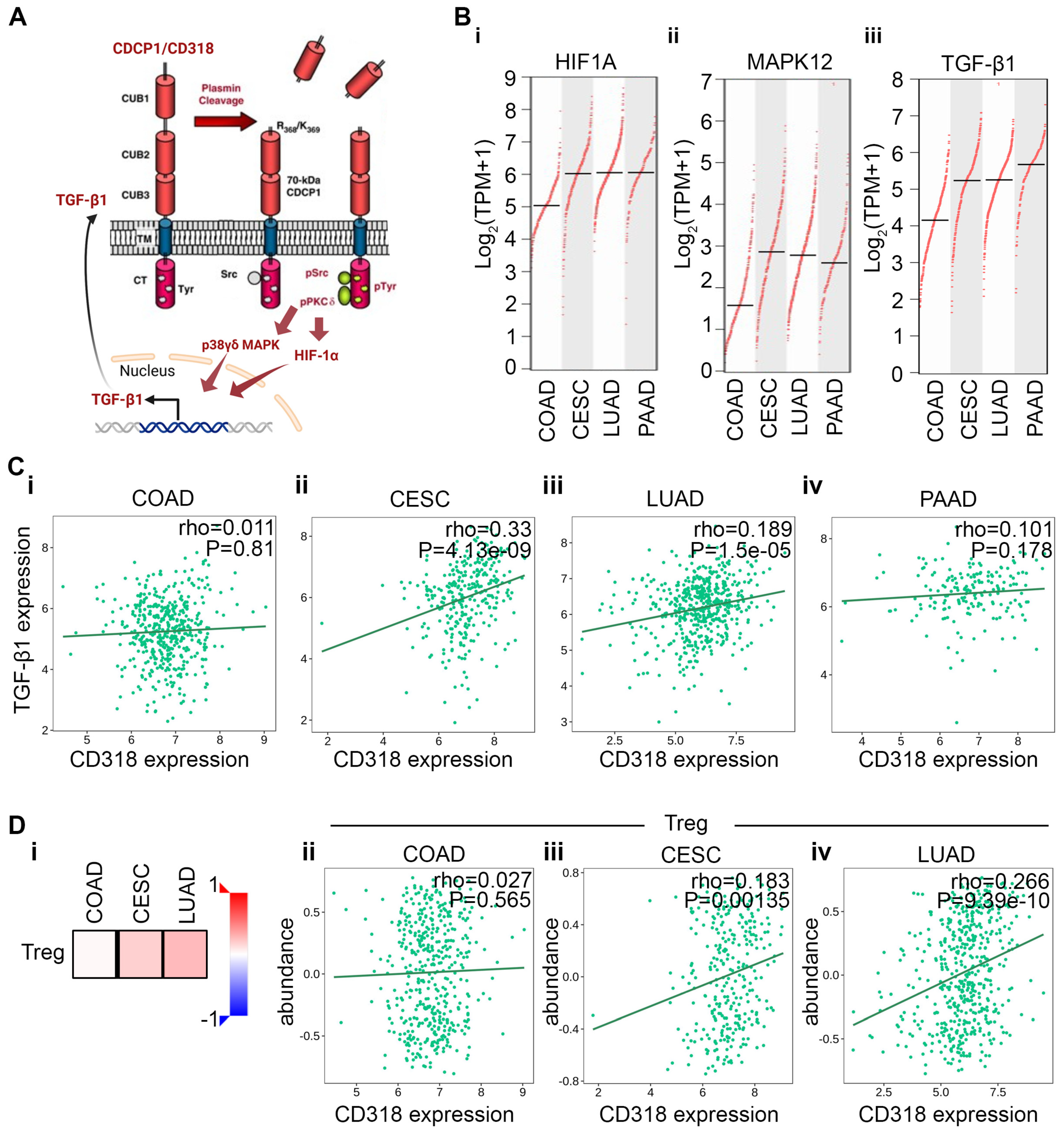 Jcm 14 05139 g004 Jcm 14 05139 g004