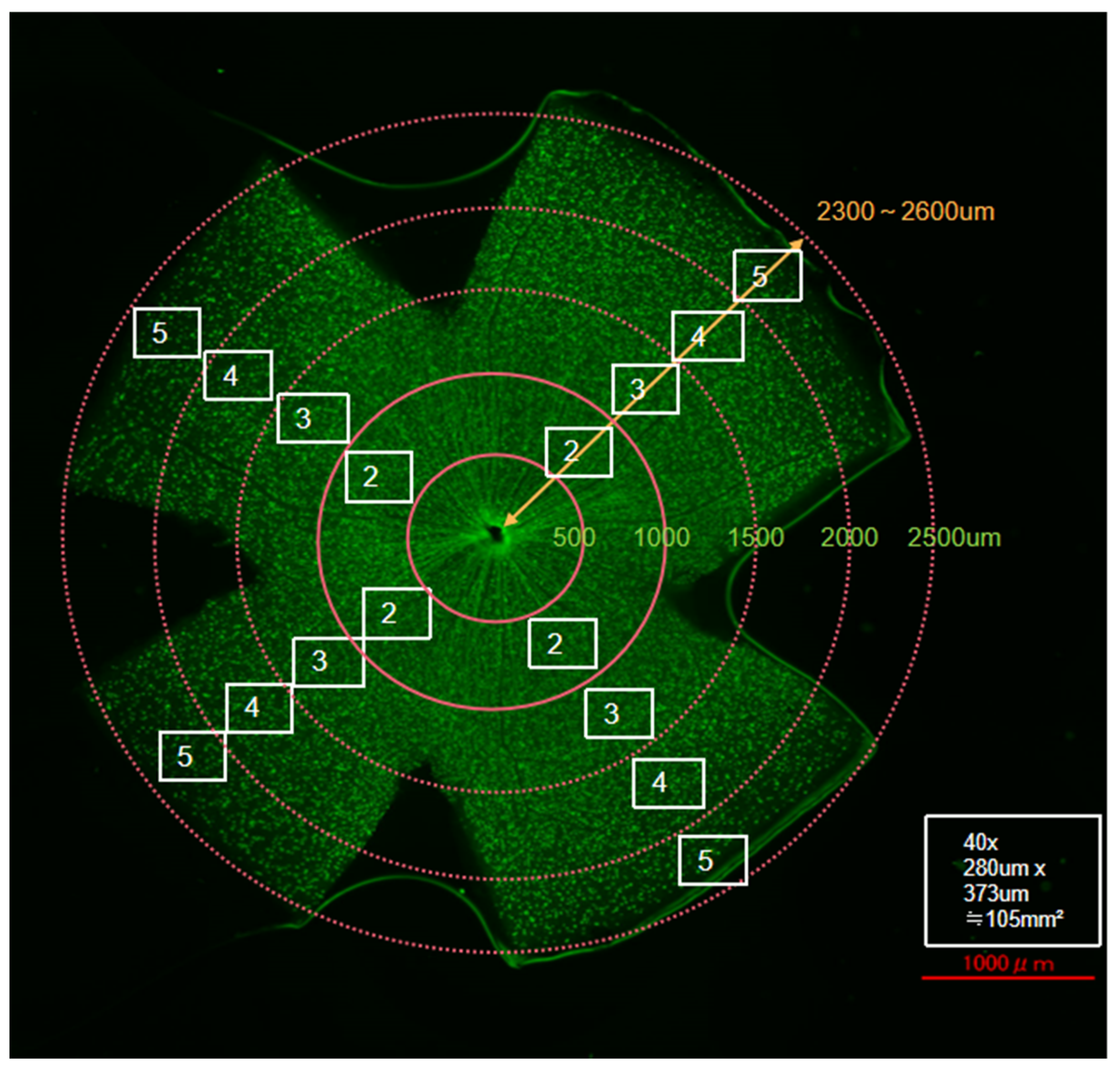 Jcm 14 05344 g001 Jcm 14 05344 g001