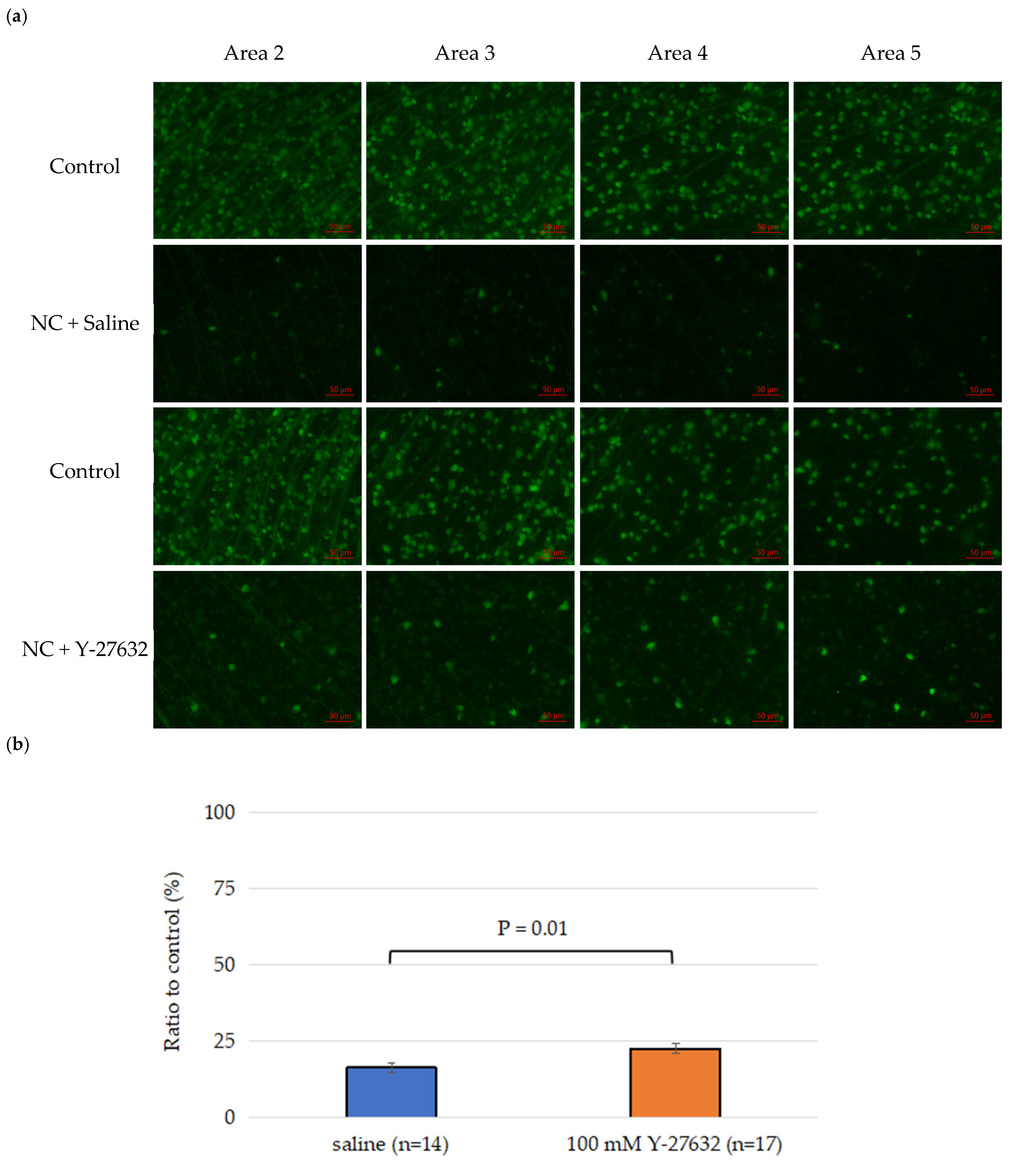 Jcm 14 05344 g003a Jcm 14 05344 g003a