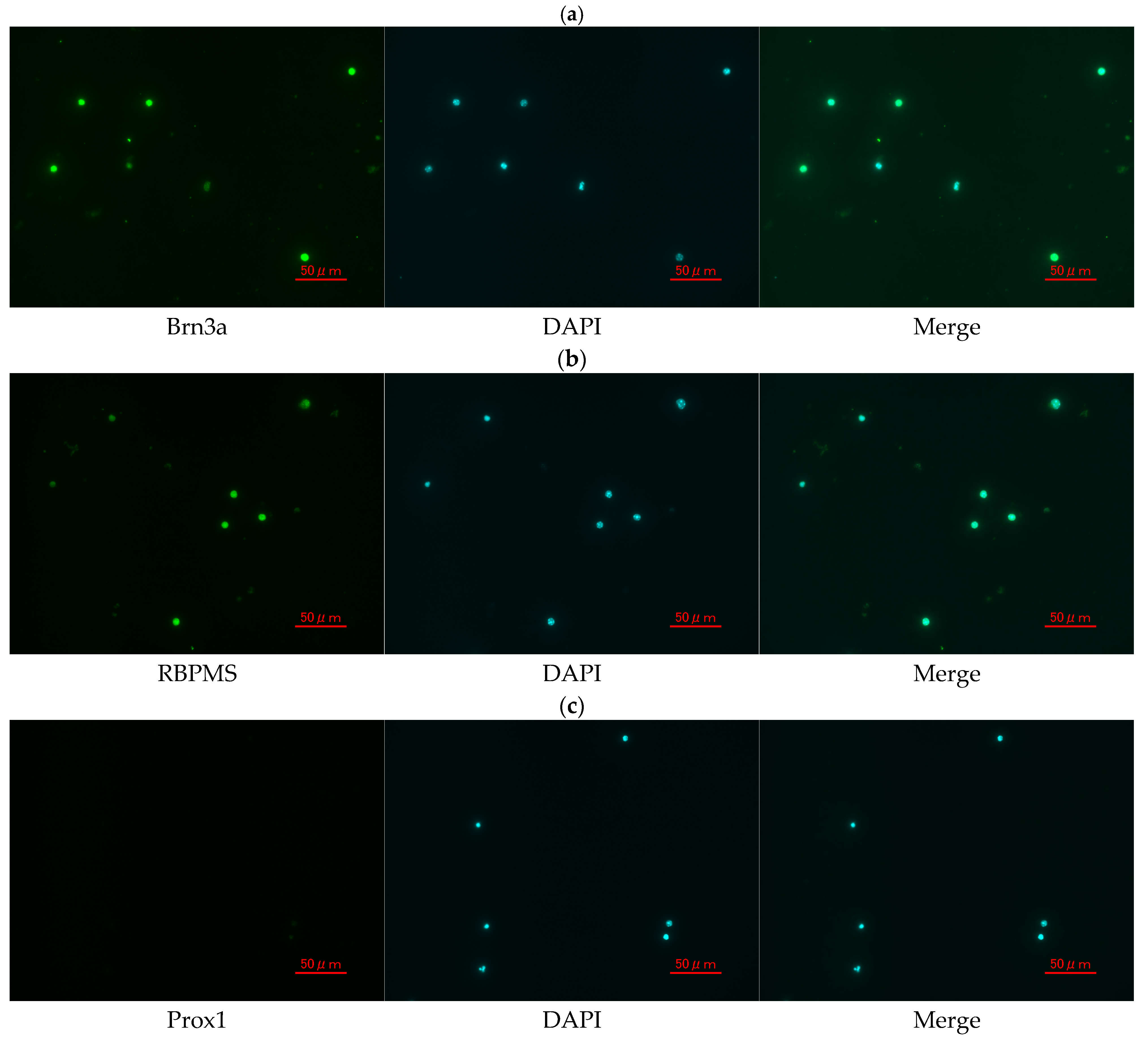 Jcm 14 05344 g008 Jcm 14 05344 g008