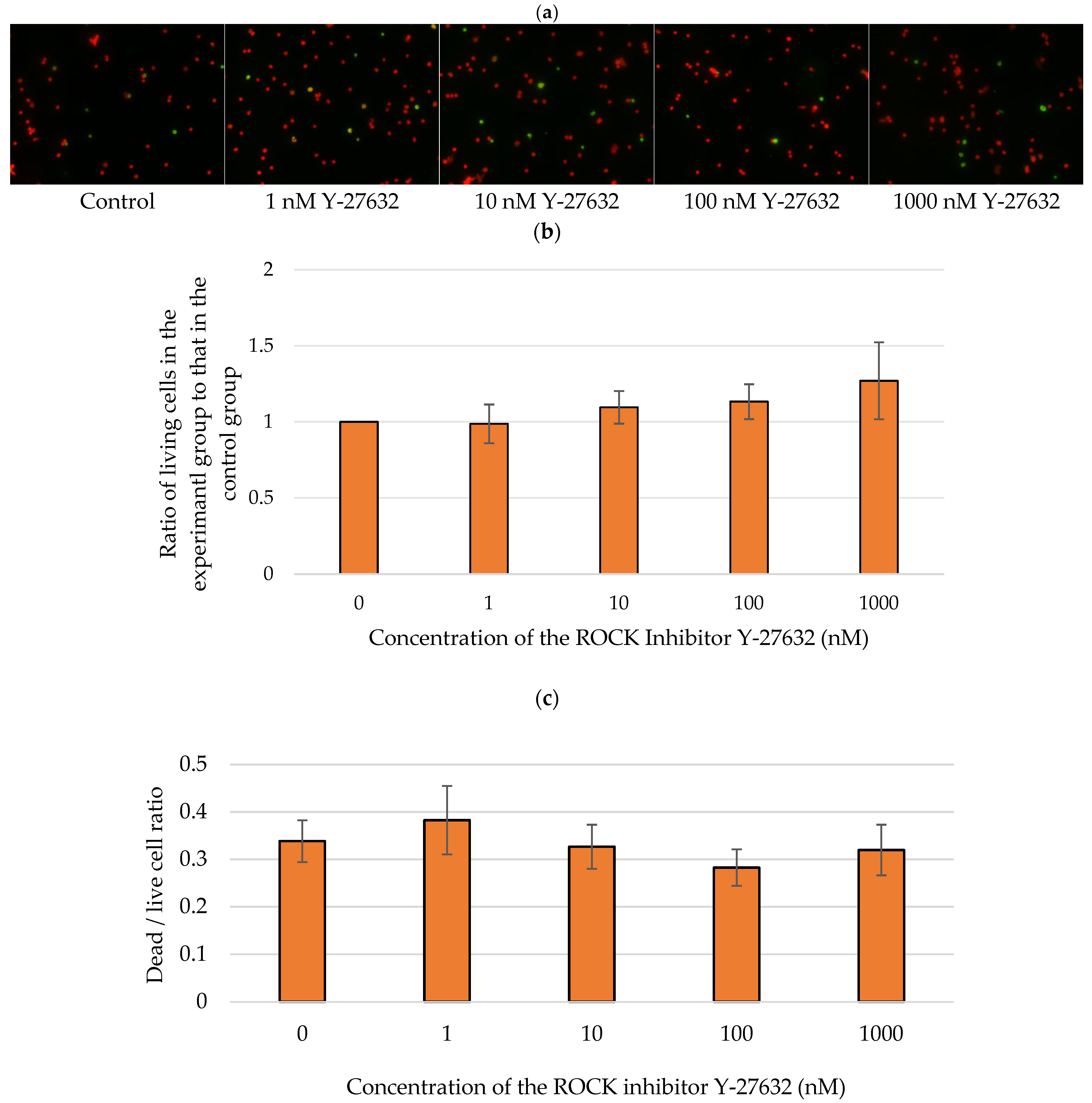 Jcm 14 05344 g009 Jcm 14 05344 g009