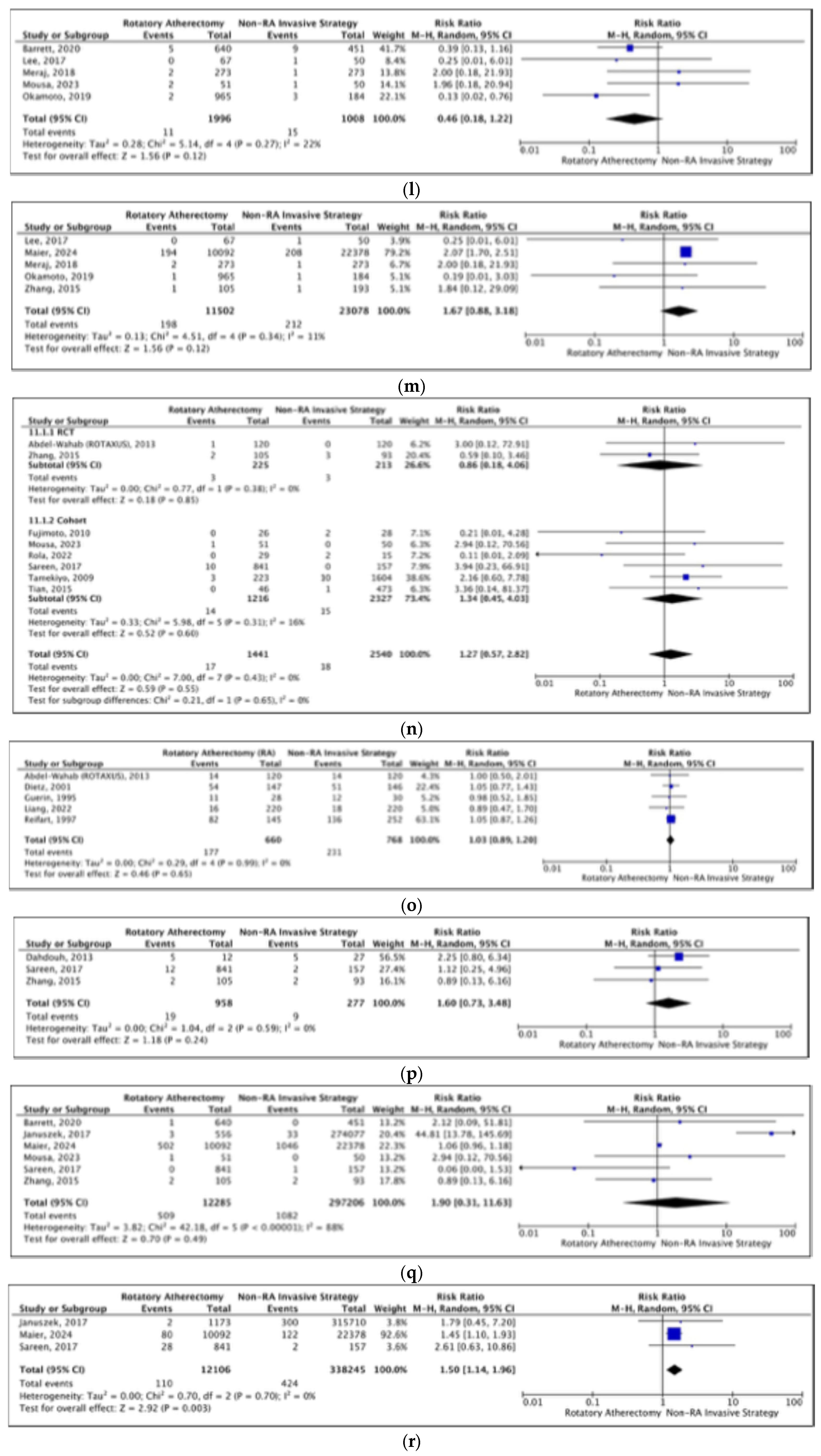 Jcm 14 05389 g003d Jcm 14 05389 g003d