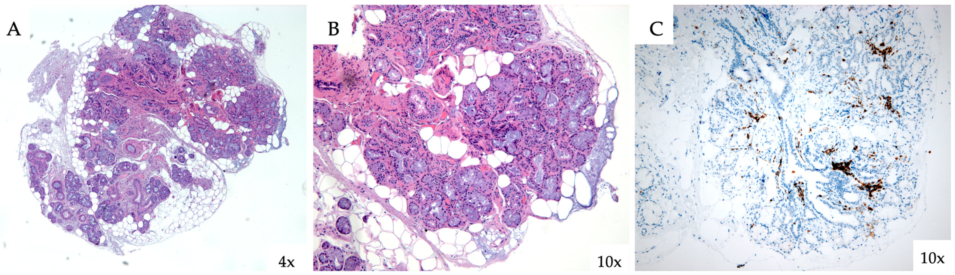 Jcm 14 05395 g004 Jcm 14 05395 g004