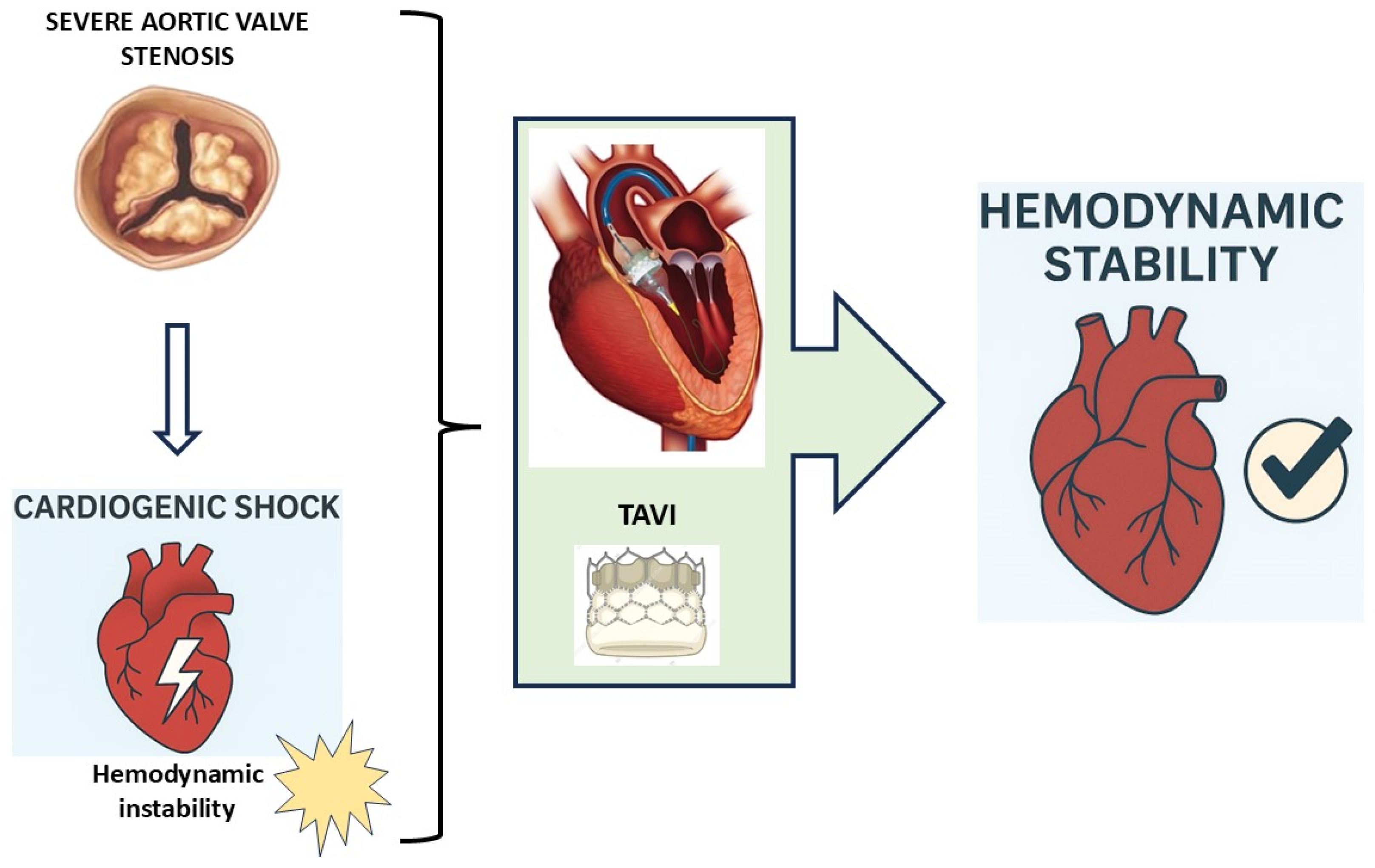Jcm 14 05398 g002 Jcm 14 05398 g002