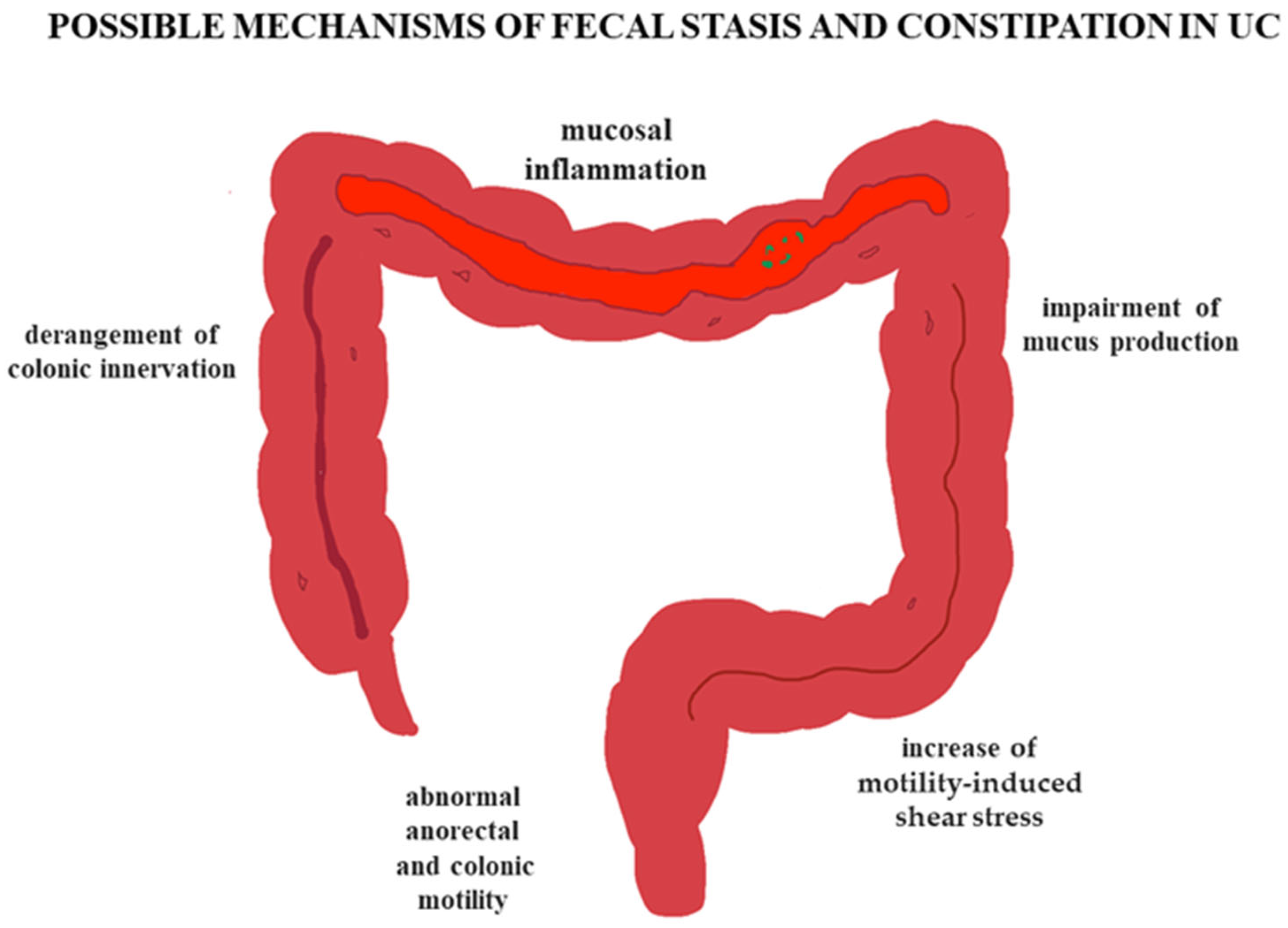 Jcm 14 05428 g002 Jcm 14 05428 g002
