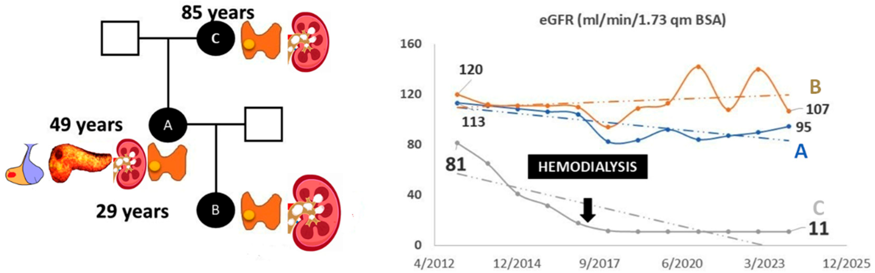 Jcm 14 05447 g002 Jcm 14 05447 g002