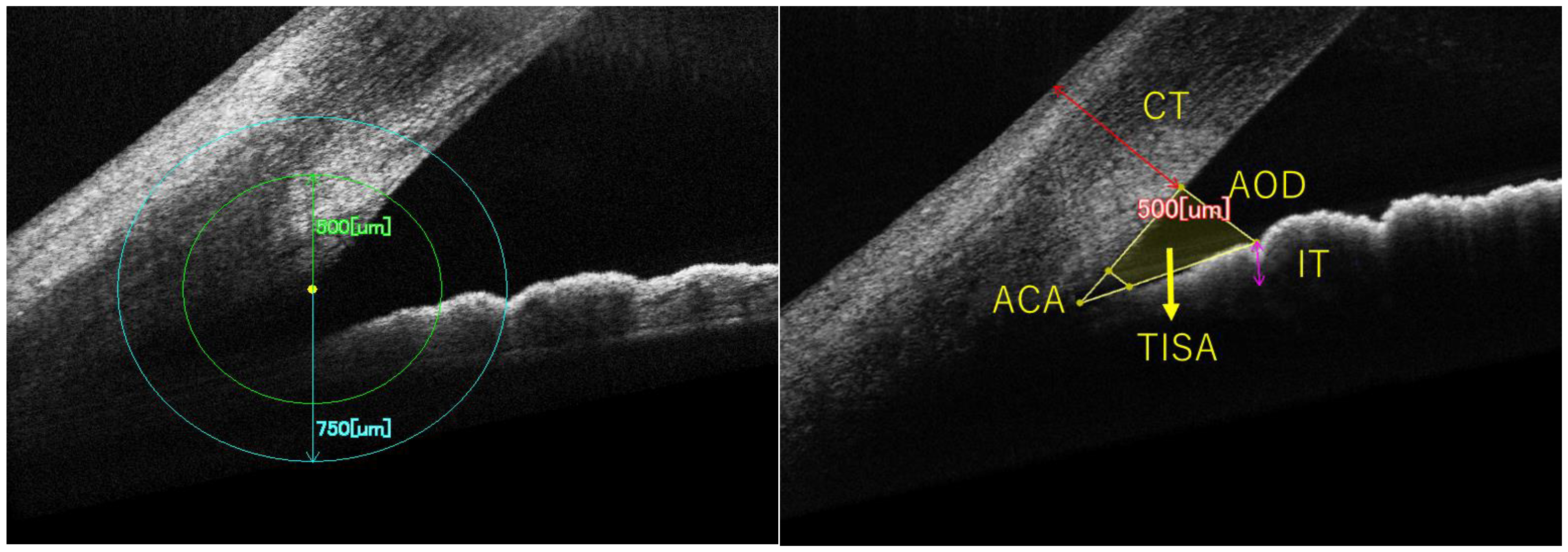 Jcm 14 05454 g001 Jcm 14 05454 g001