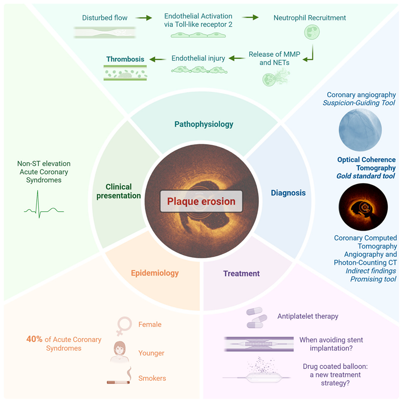 Jcm 14 05456 i001 Jcm 14 05456 i001