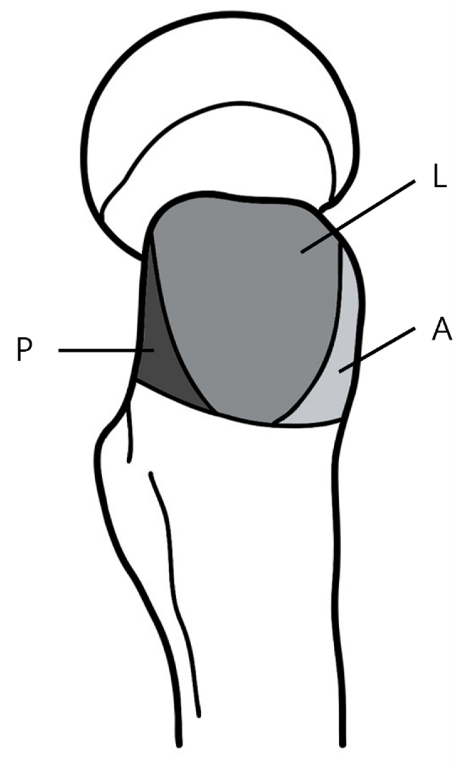 Jcm 14 05498 g002 Jcm 14 05498 g002