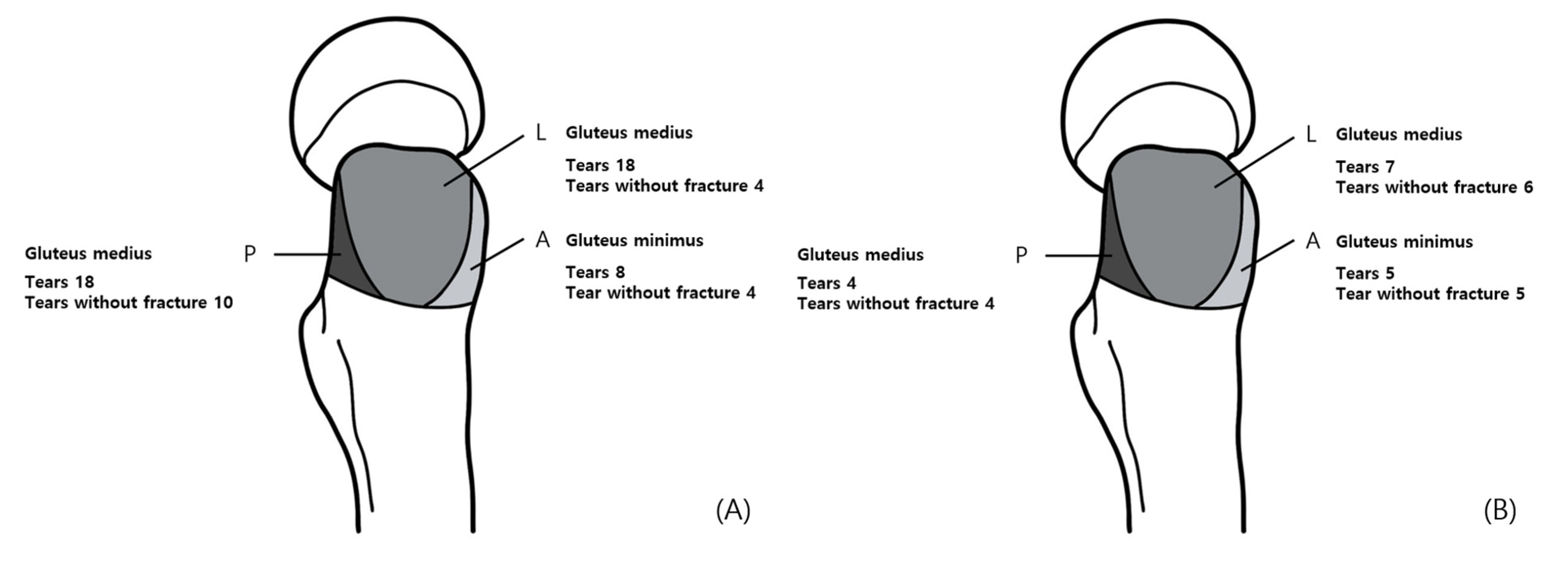 Jcm 14 05498 g006 Jcm 14 05498 g006