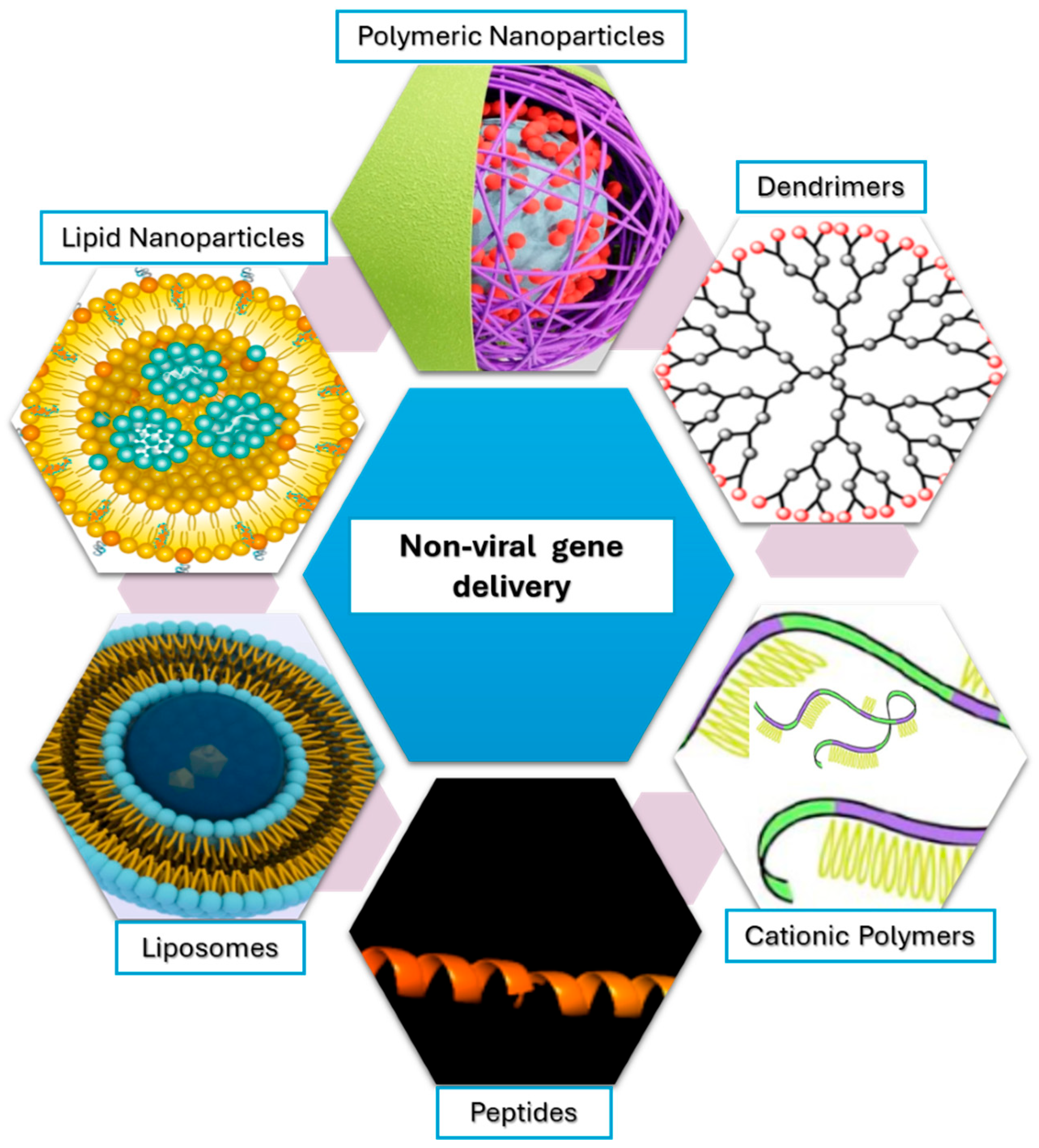 Transfection Technologies for Next-Generation Therapies