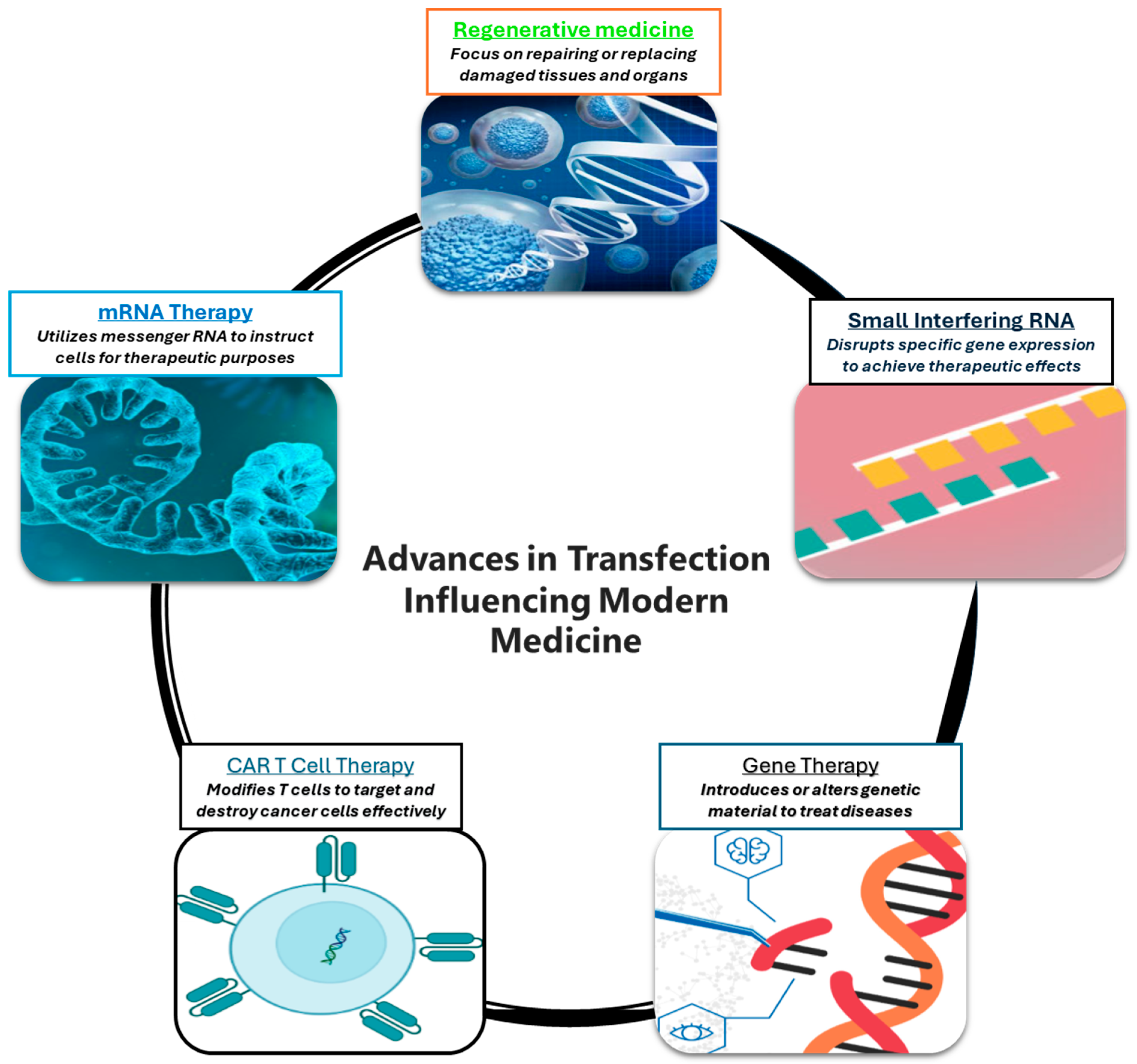 Jcm 14 05515 g002 Jcm 14 05515 g002