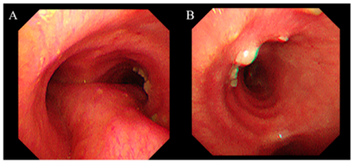 Jcm 14 05526 g002 Jcm 14 05526 g002