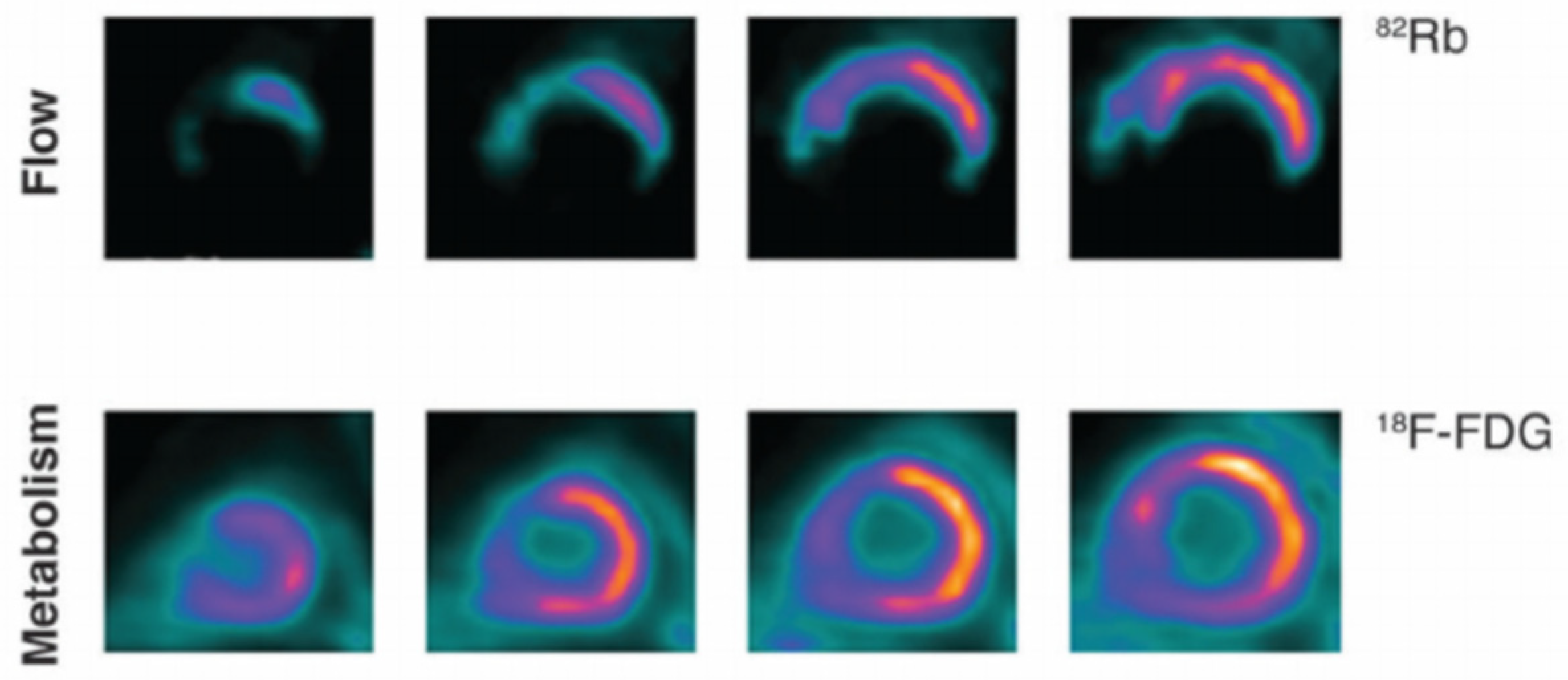 Jcm 14 05529 g002 Jcm 14 05529 g002