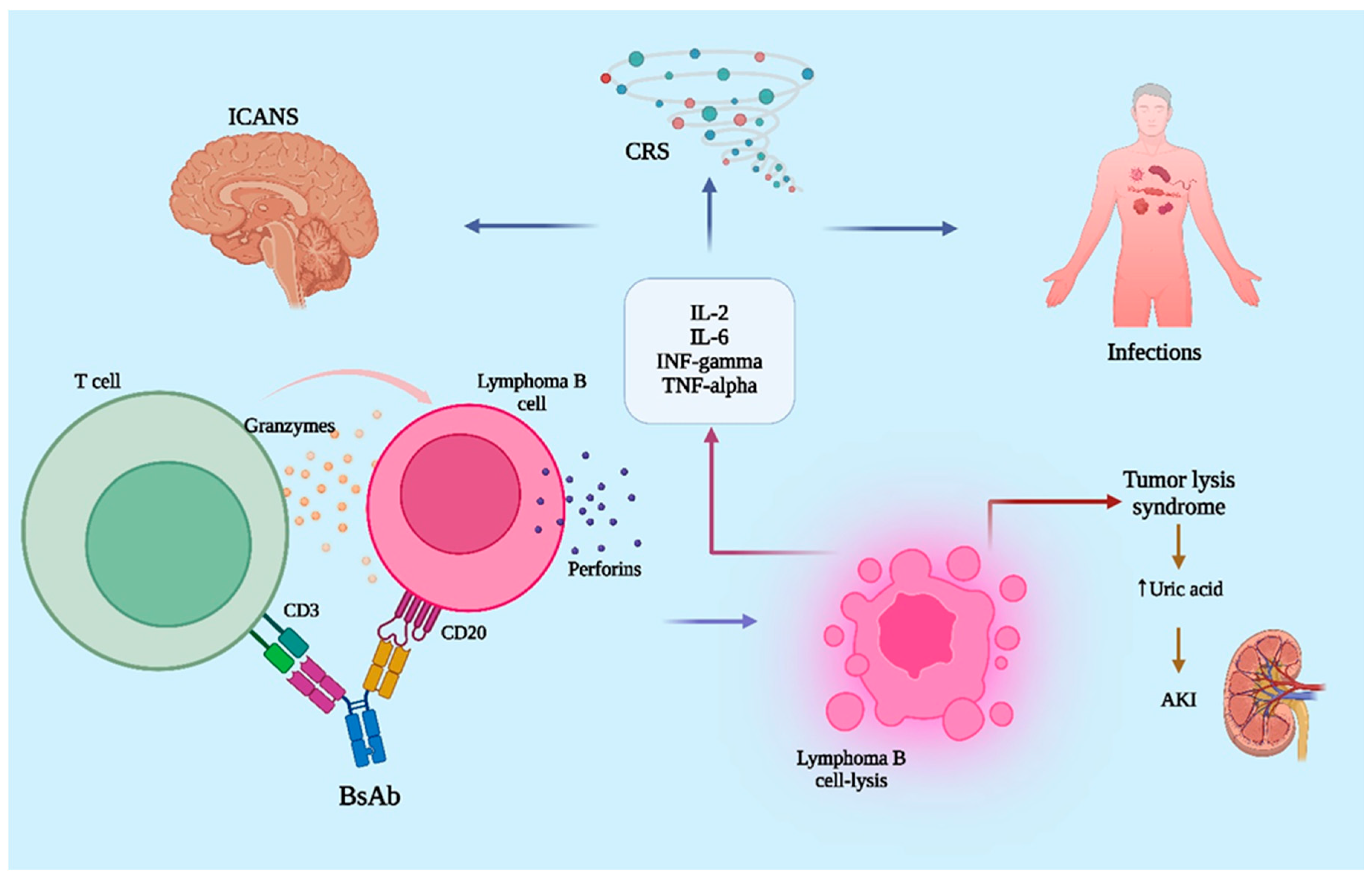 Jcm 14 05534 g001 Jcm 14 05534 g001