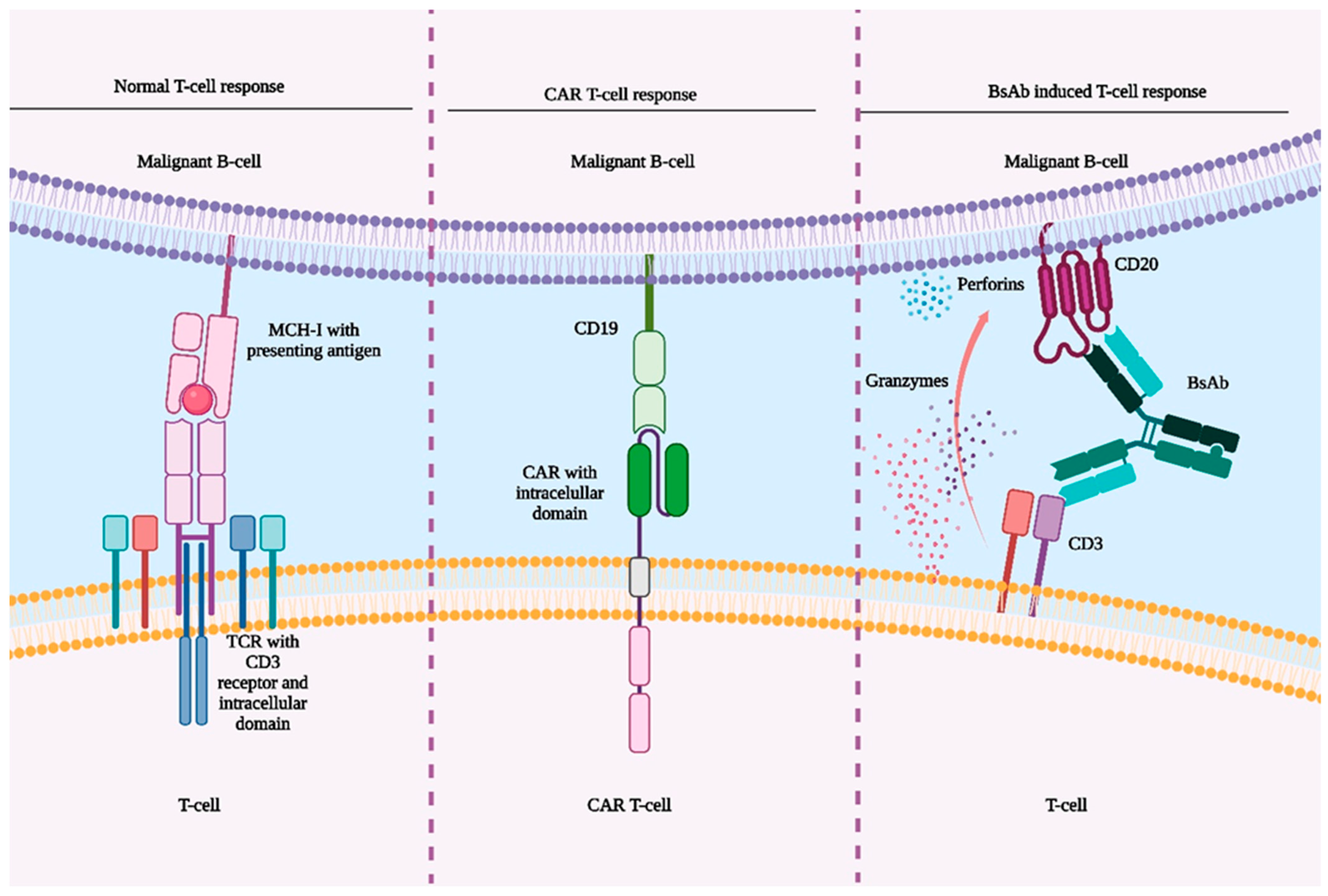 Jcm 14 05534 g002 Jcm 14 05534 g002