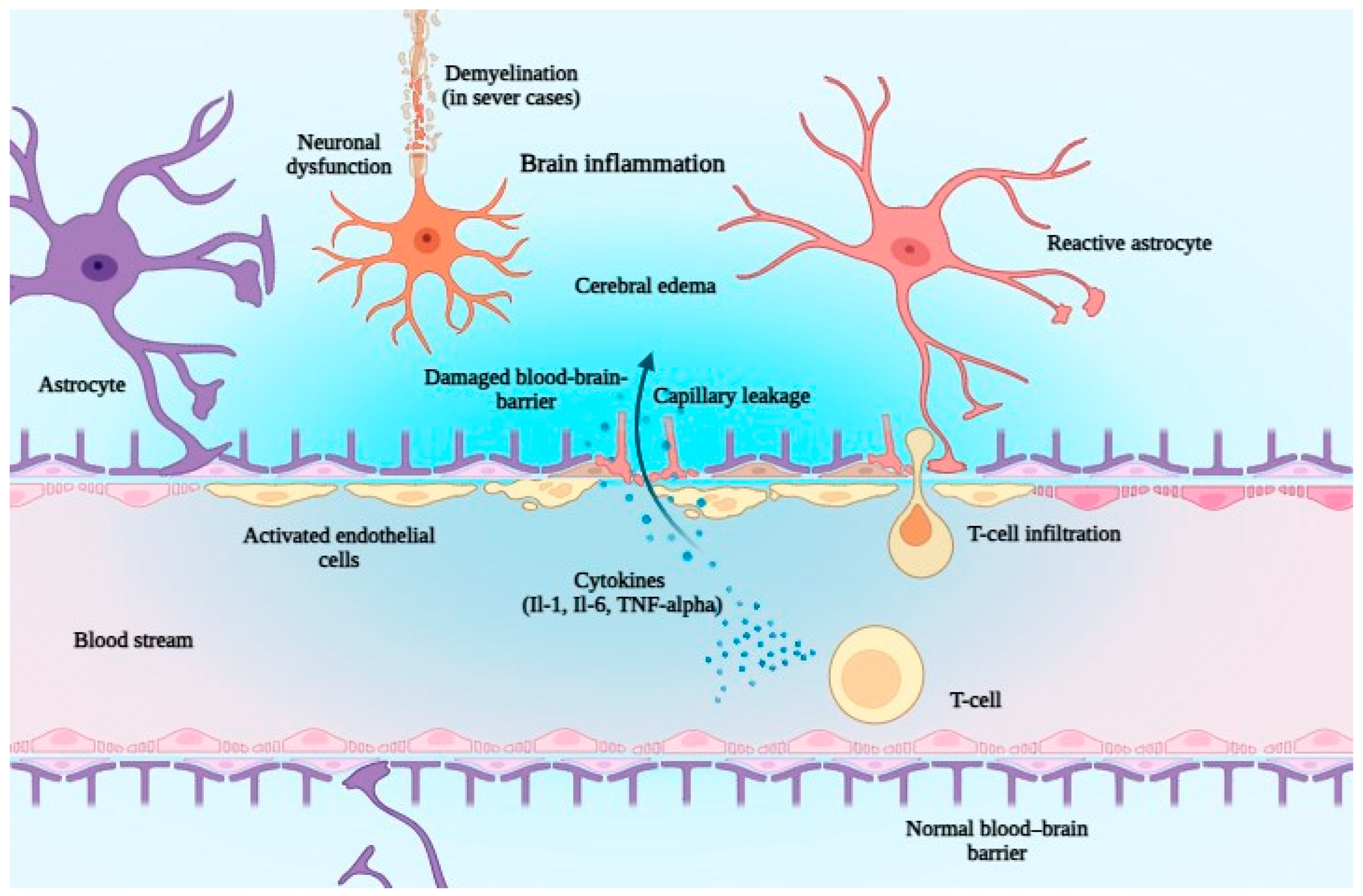 Jcm 14 05534 g003 Jcm 14 05534 g003