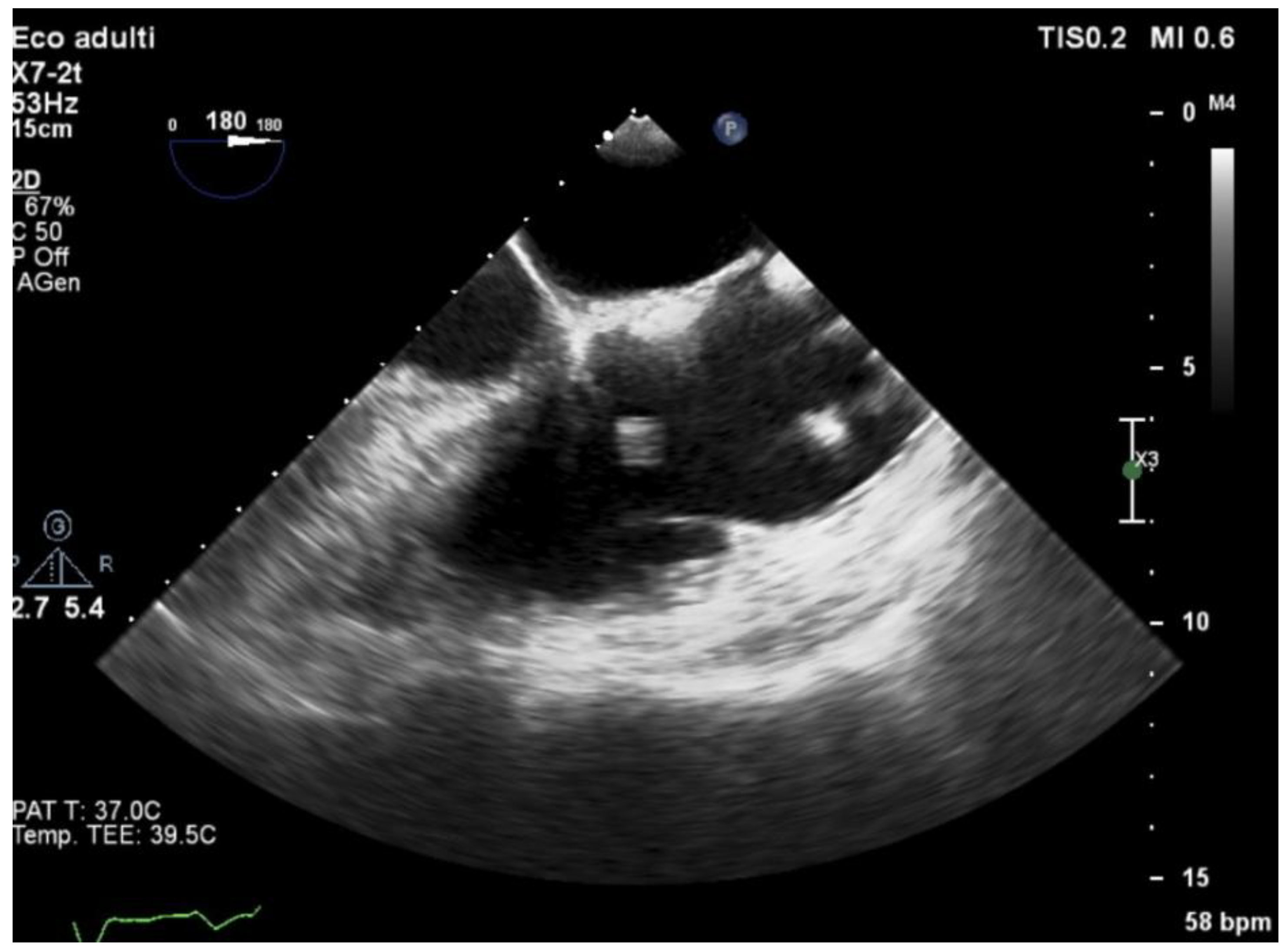 Jcm 14 05589 g004 Jcm 14 05589 g004