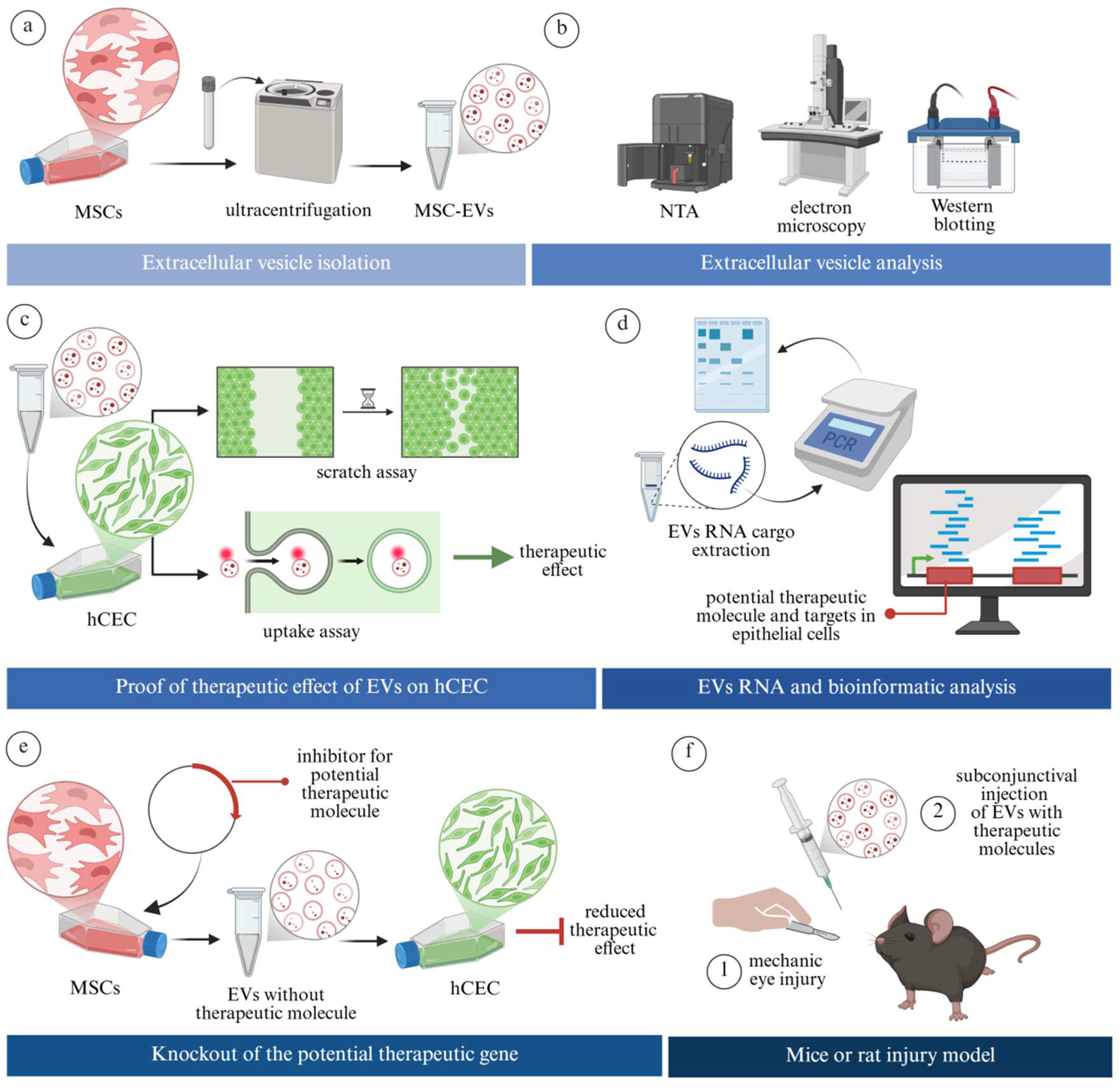 Jcm 14 05594 g002 Jcm 14 05594 g002