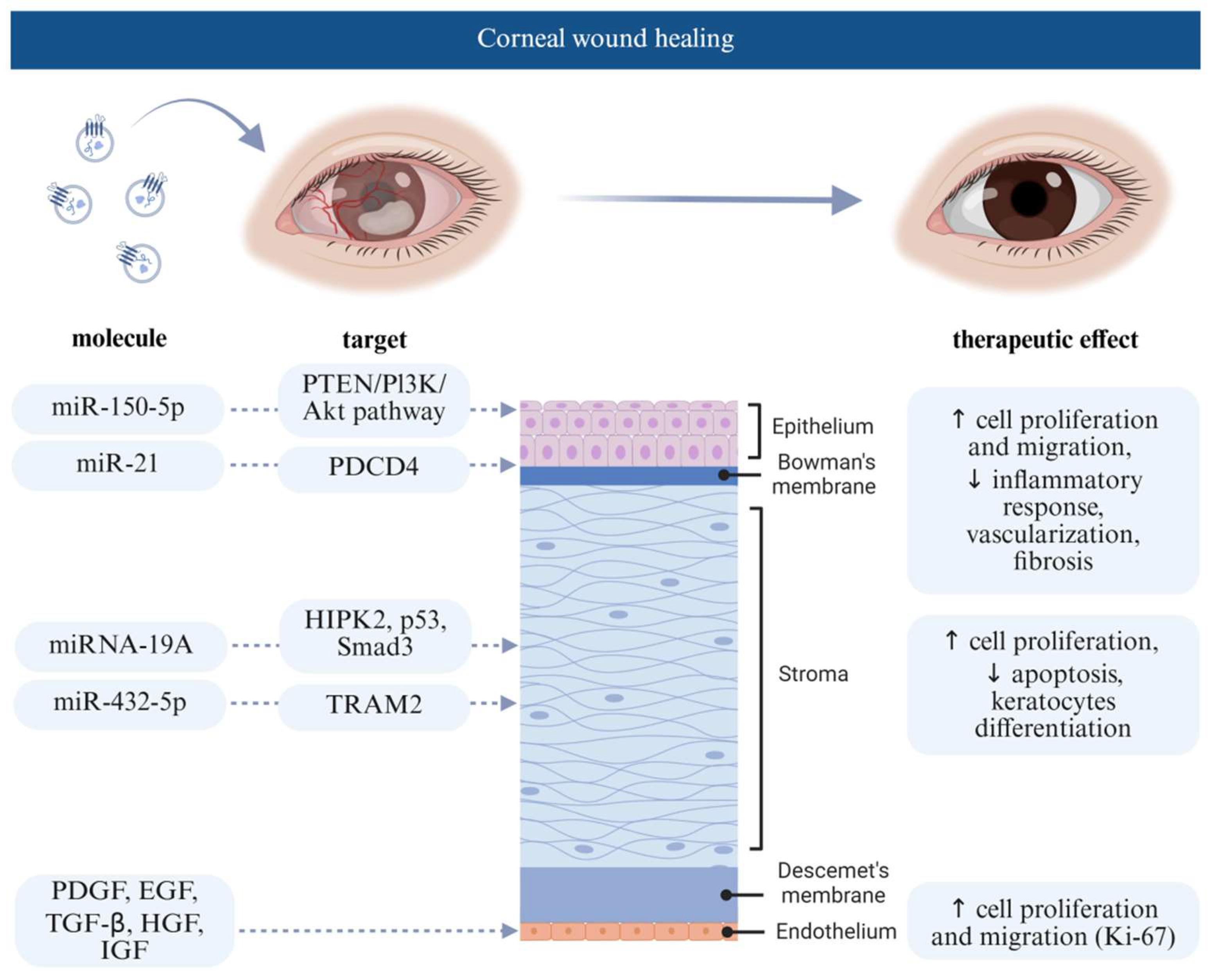 Jcm 14 05594 g003 Jcm 14 05594 g003