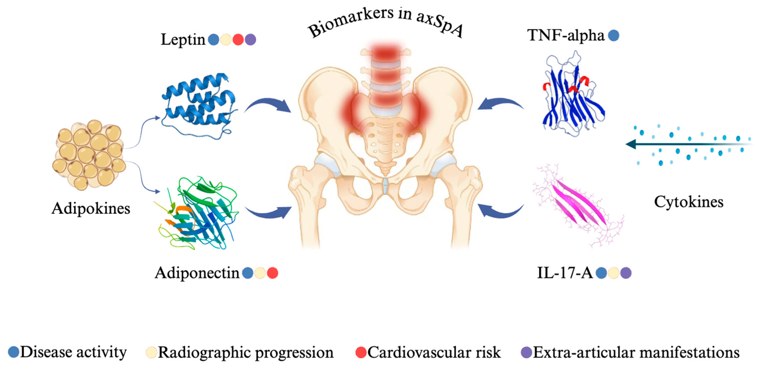 Jcm 14 05605 g017 Jcm 14 05605 g017