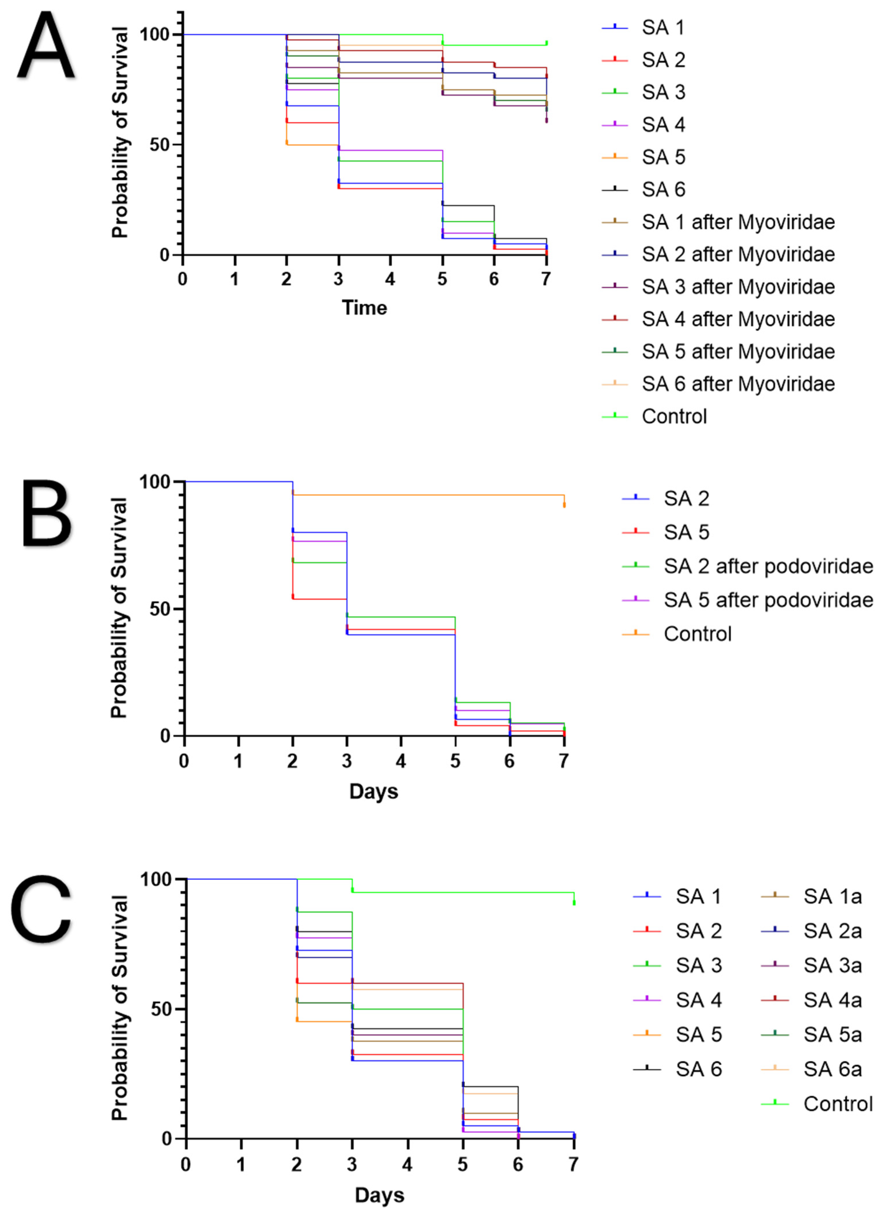 Jcm 14 05609 g003 Jcm 14 05609 g003