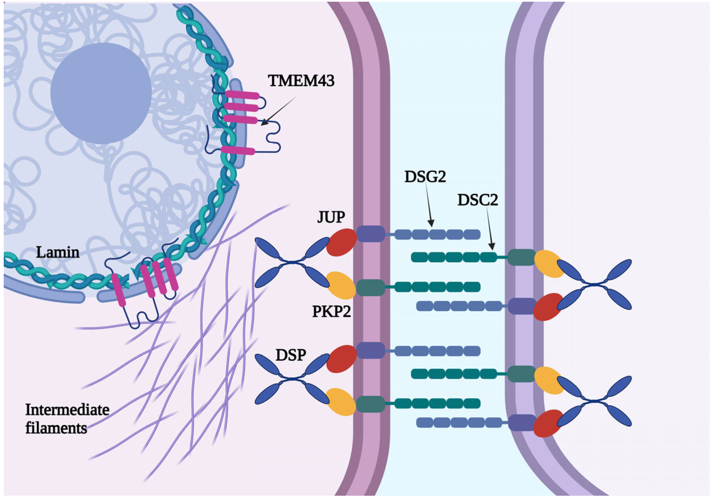 Jcm 14 05611 g001 Jcm 14 05611 g001