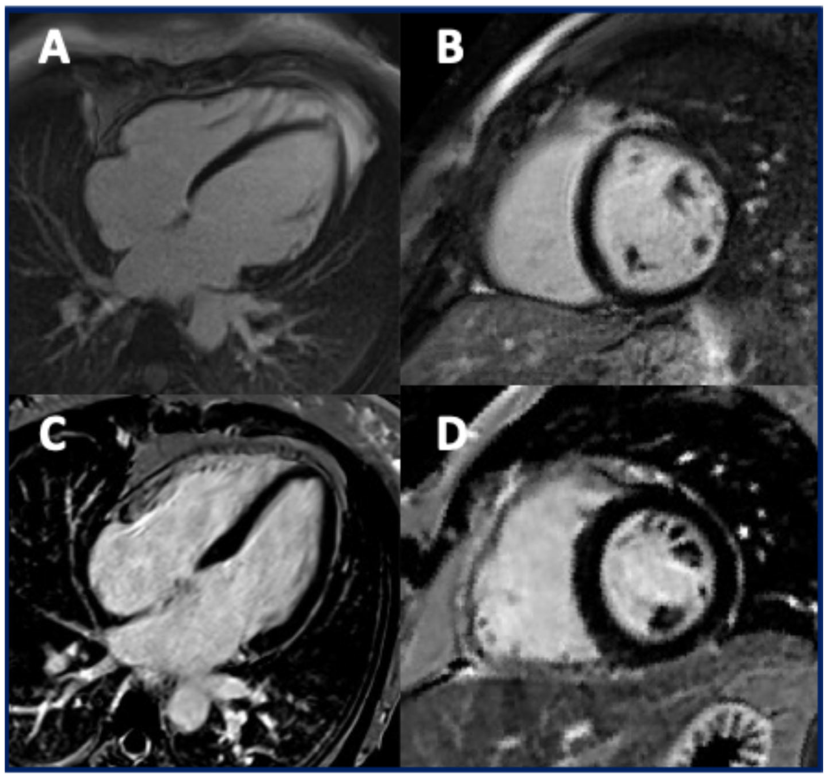 Jcm 14 05611 g004 Jcm 14 05611 g004