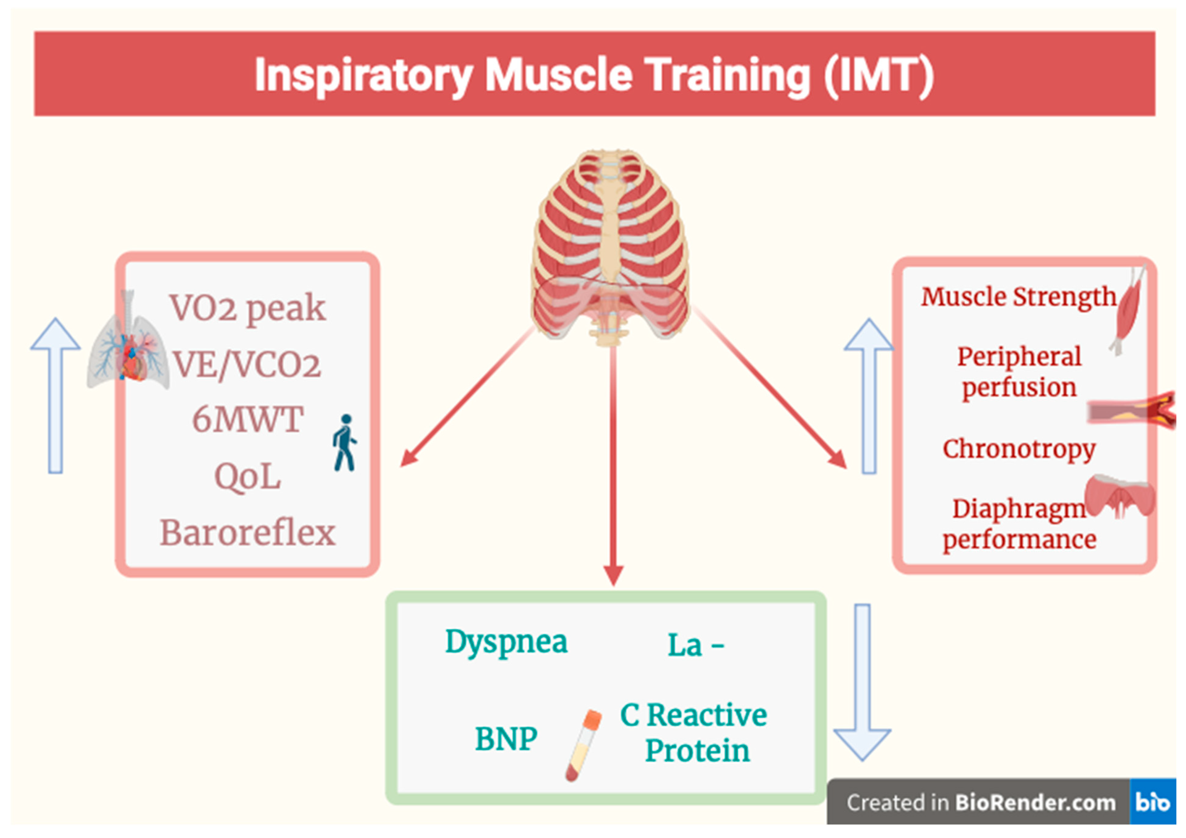Jcm 14 05624 g001 Jcm 14 05624 g001