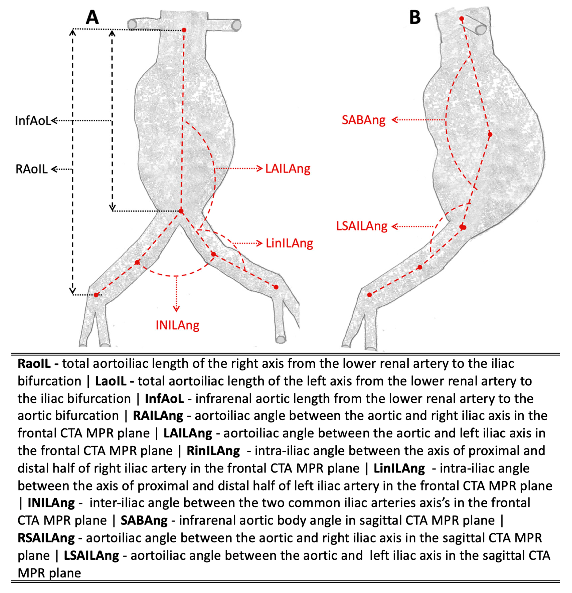 Jcm 14 05626 g001 Jcm 14 05626 g001