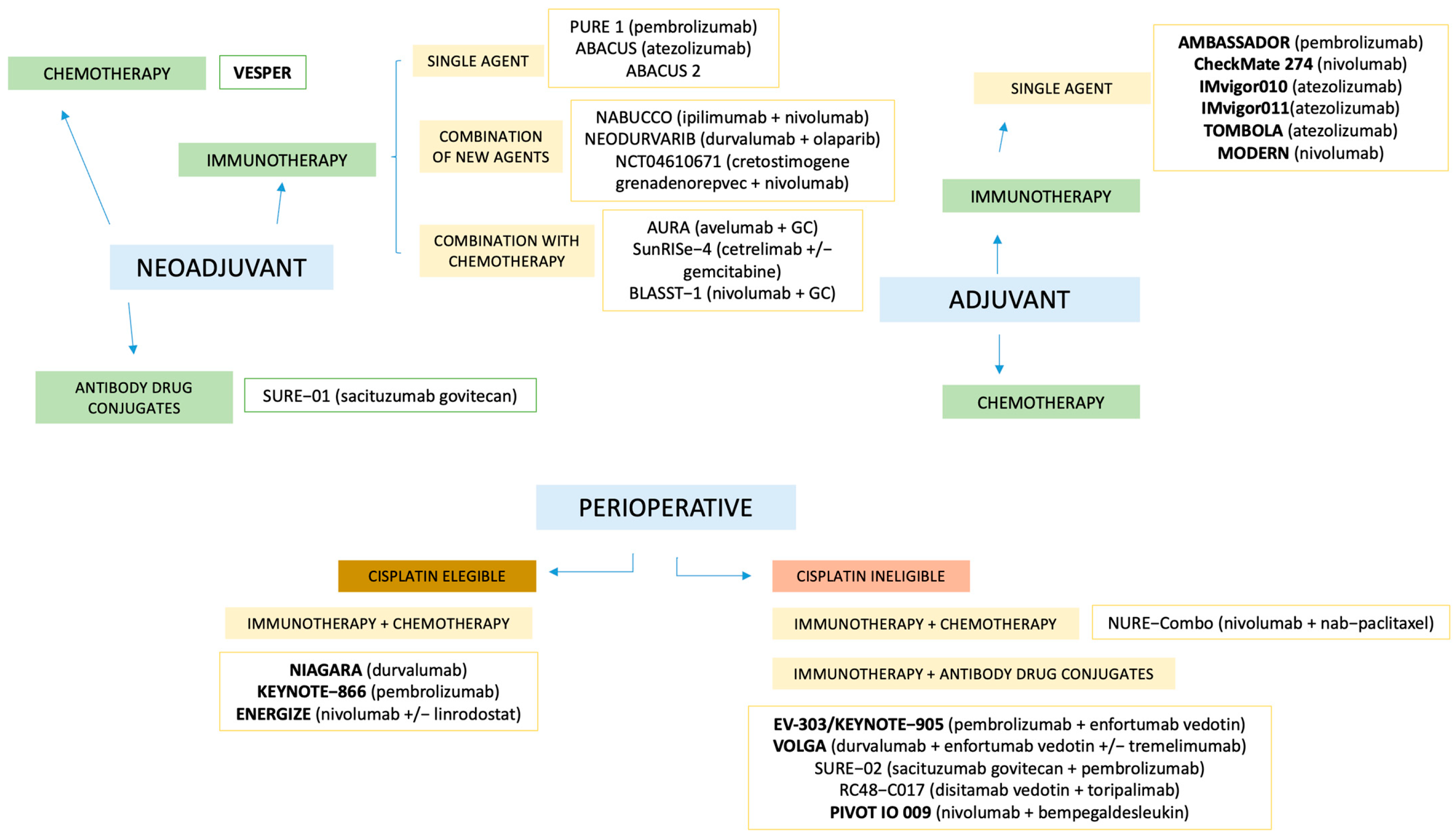 Jcm 14 05653 g002 Jcm 14 05653 g002