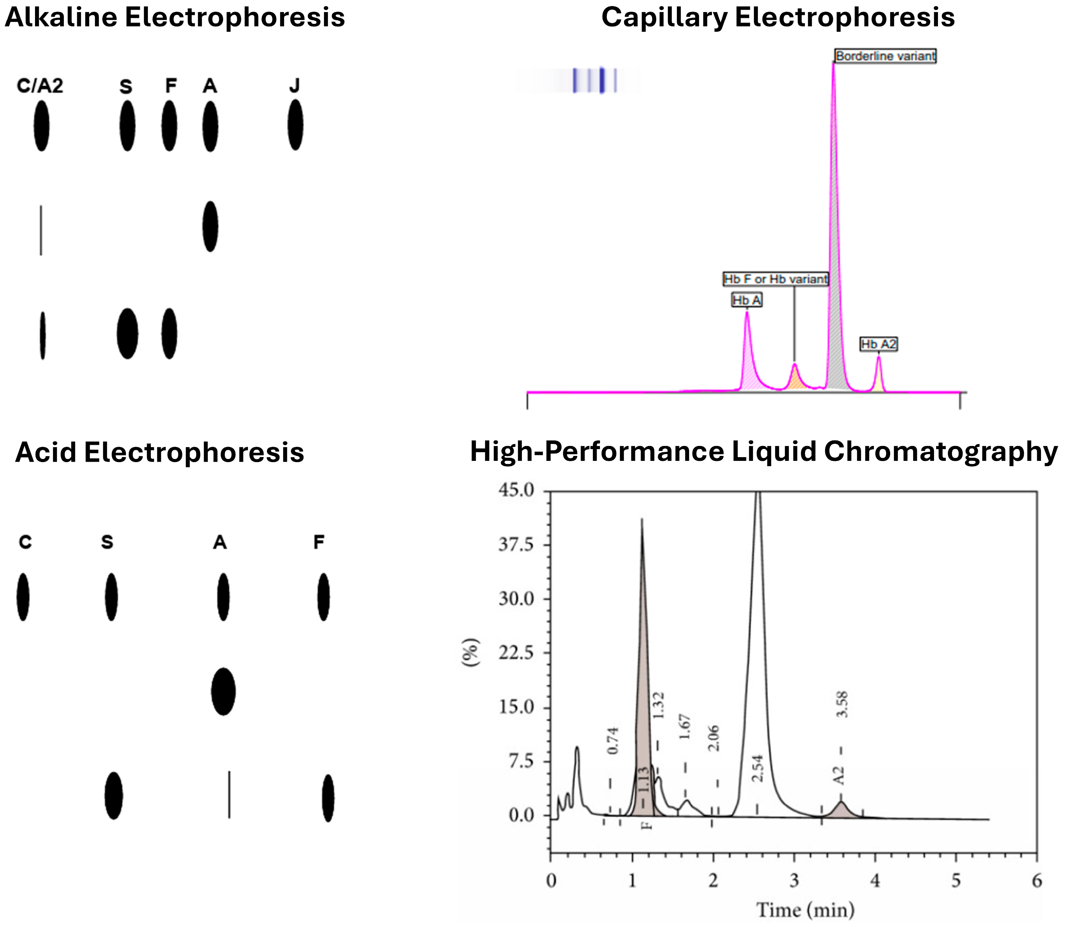 Jcm 14 05690 g001 Jcm 14 05690 g001