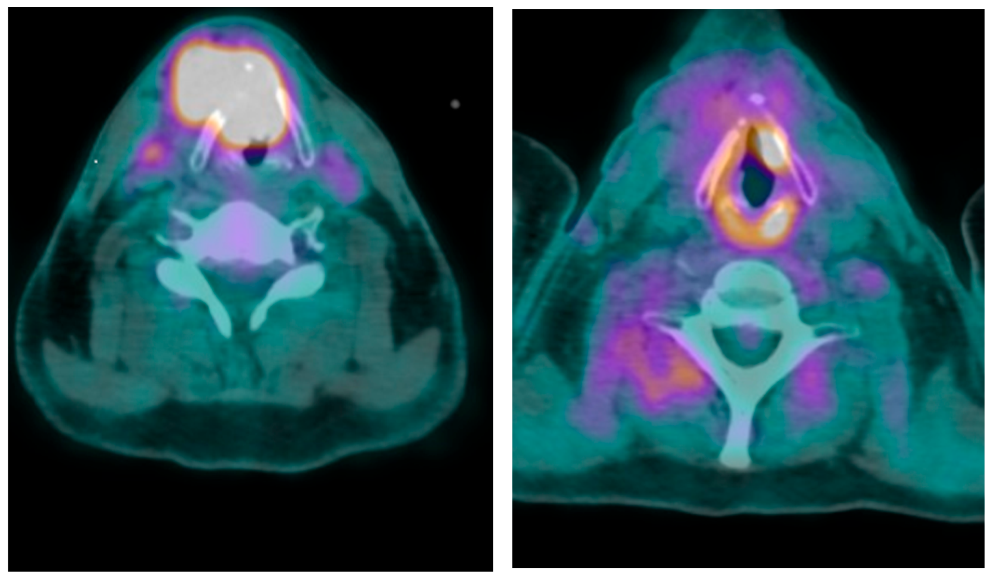 Jcm 14 05694 g002 Jcm 14 05694 g002