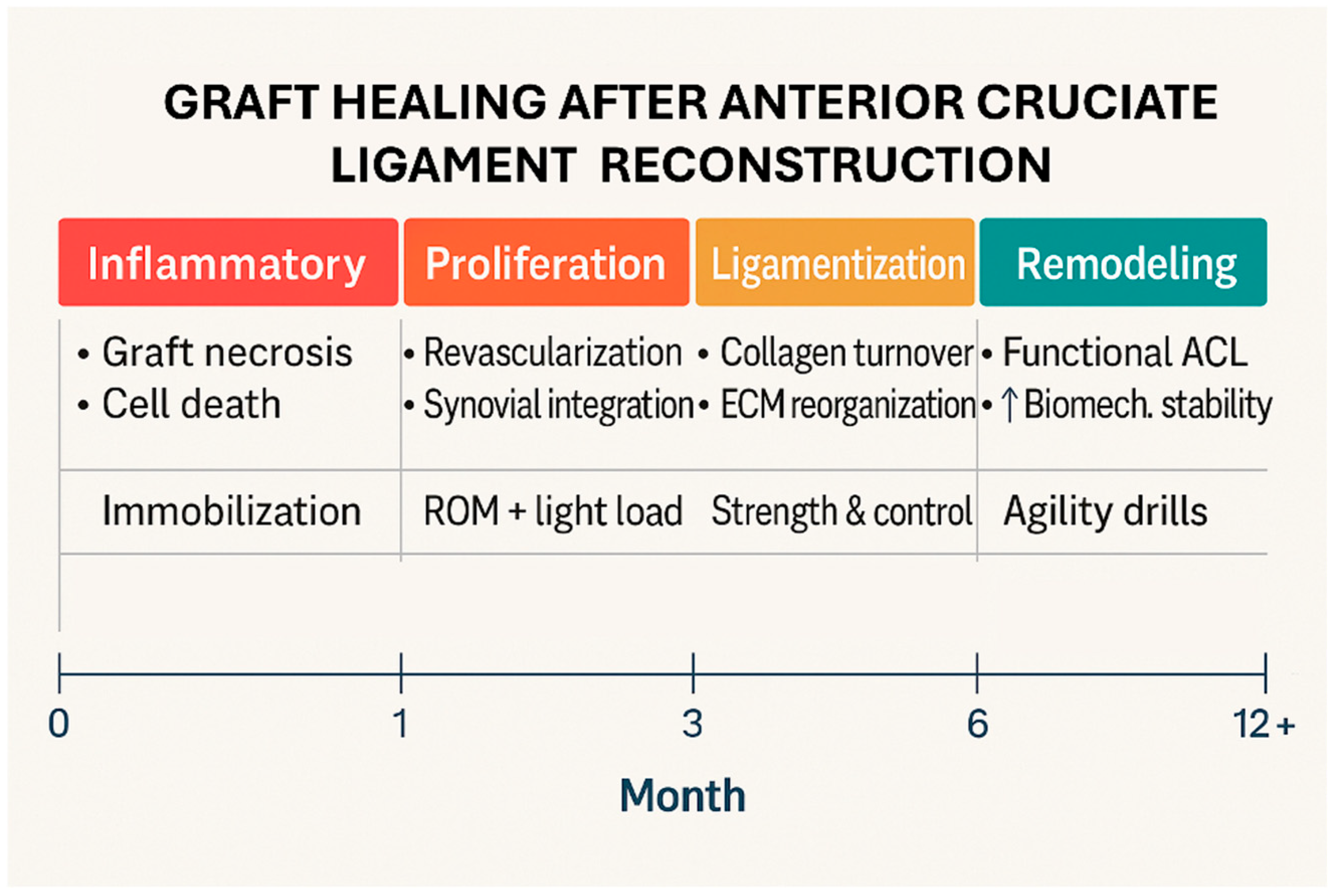 Jcm 14 05699 g001 Jcm 14 05699 g001