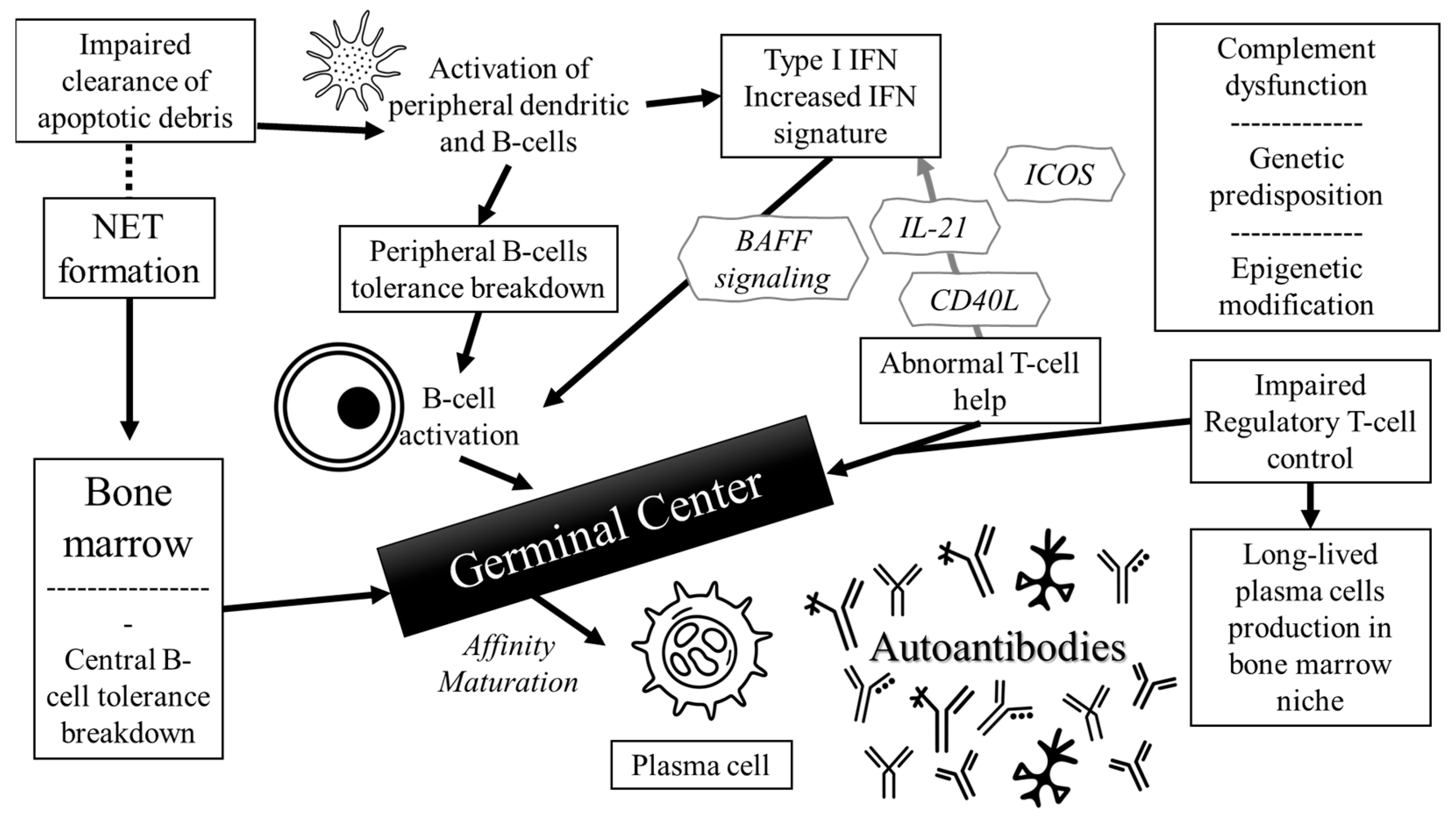 Jcm 14 05714 g001 Jcm 14 05714 g001