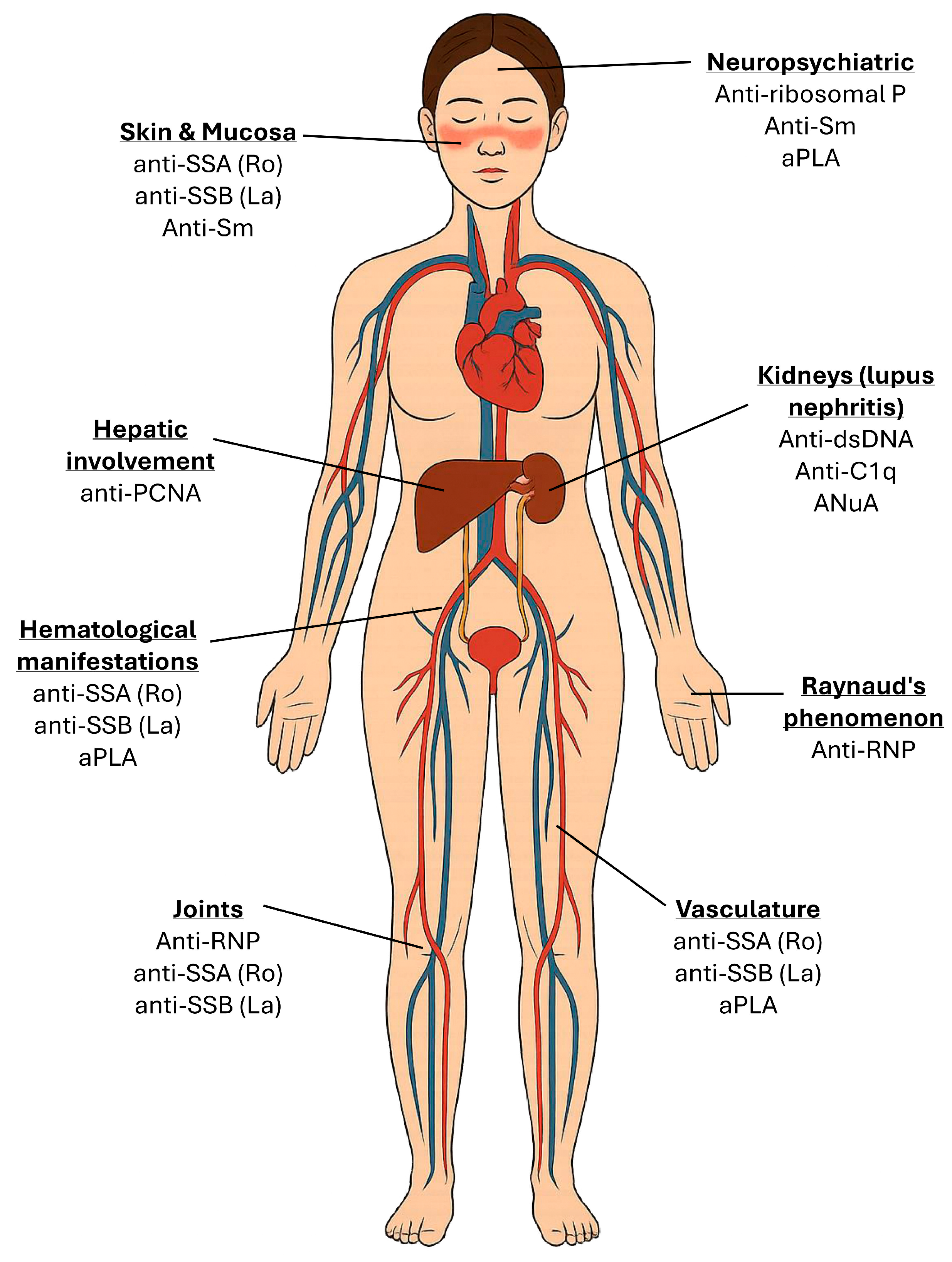 Jcm 14 05714 g002 Jcm 14 05714 g002