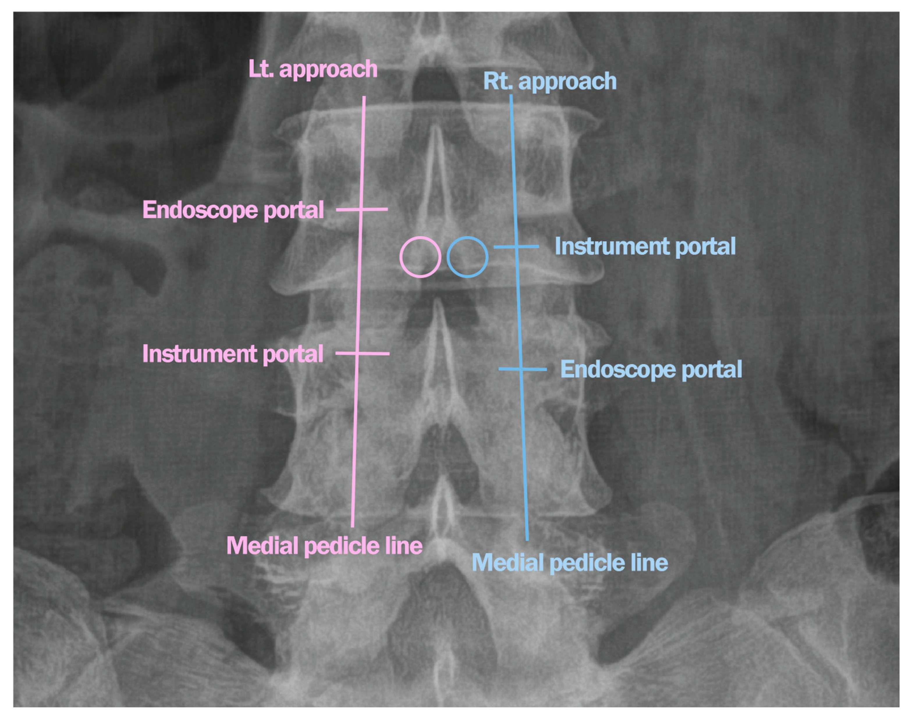 Jcm 14 05726 g004 Jcm 14 05726 g004