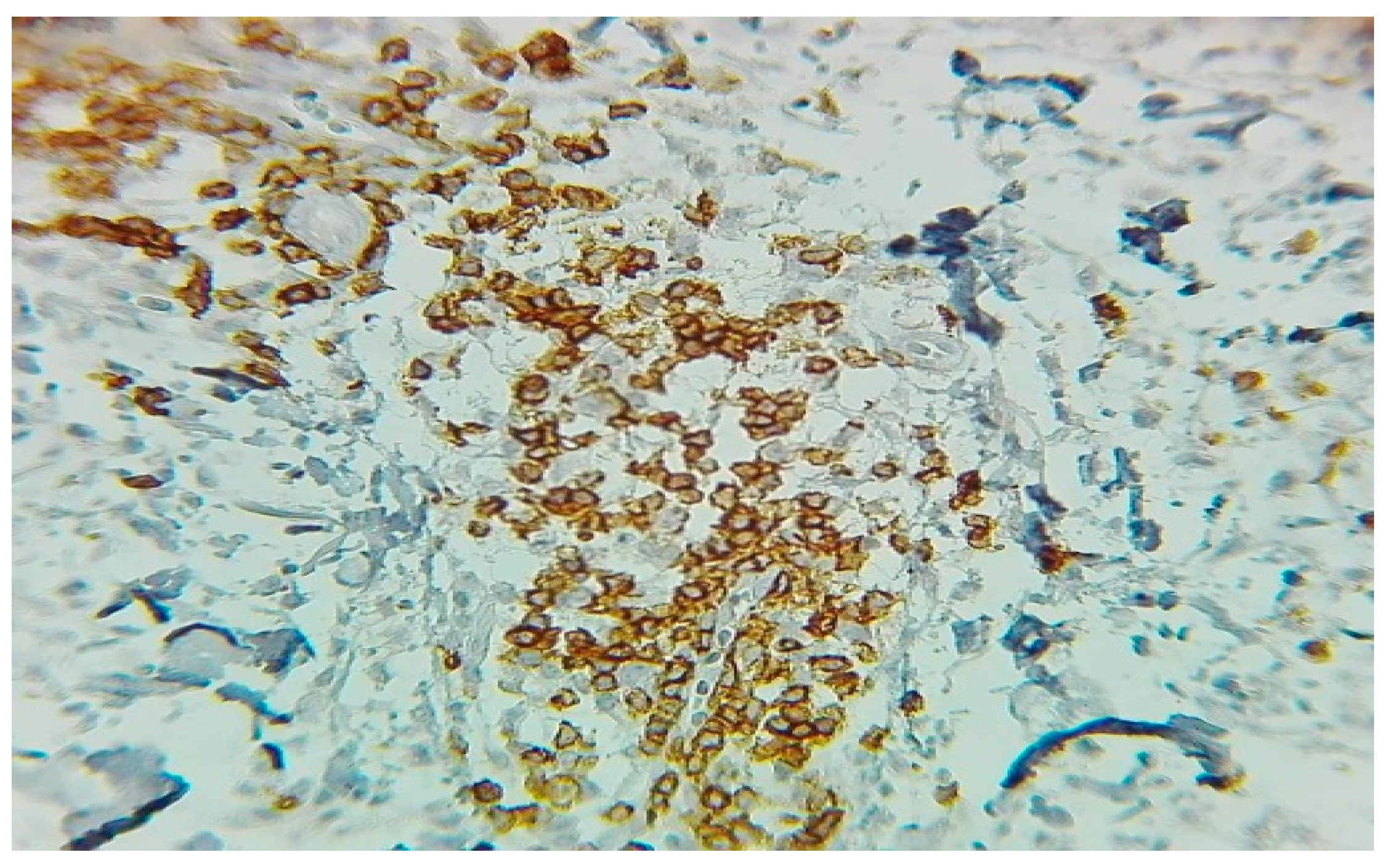 Jcm 14 05743 g004 Jcm 14 05743 g004