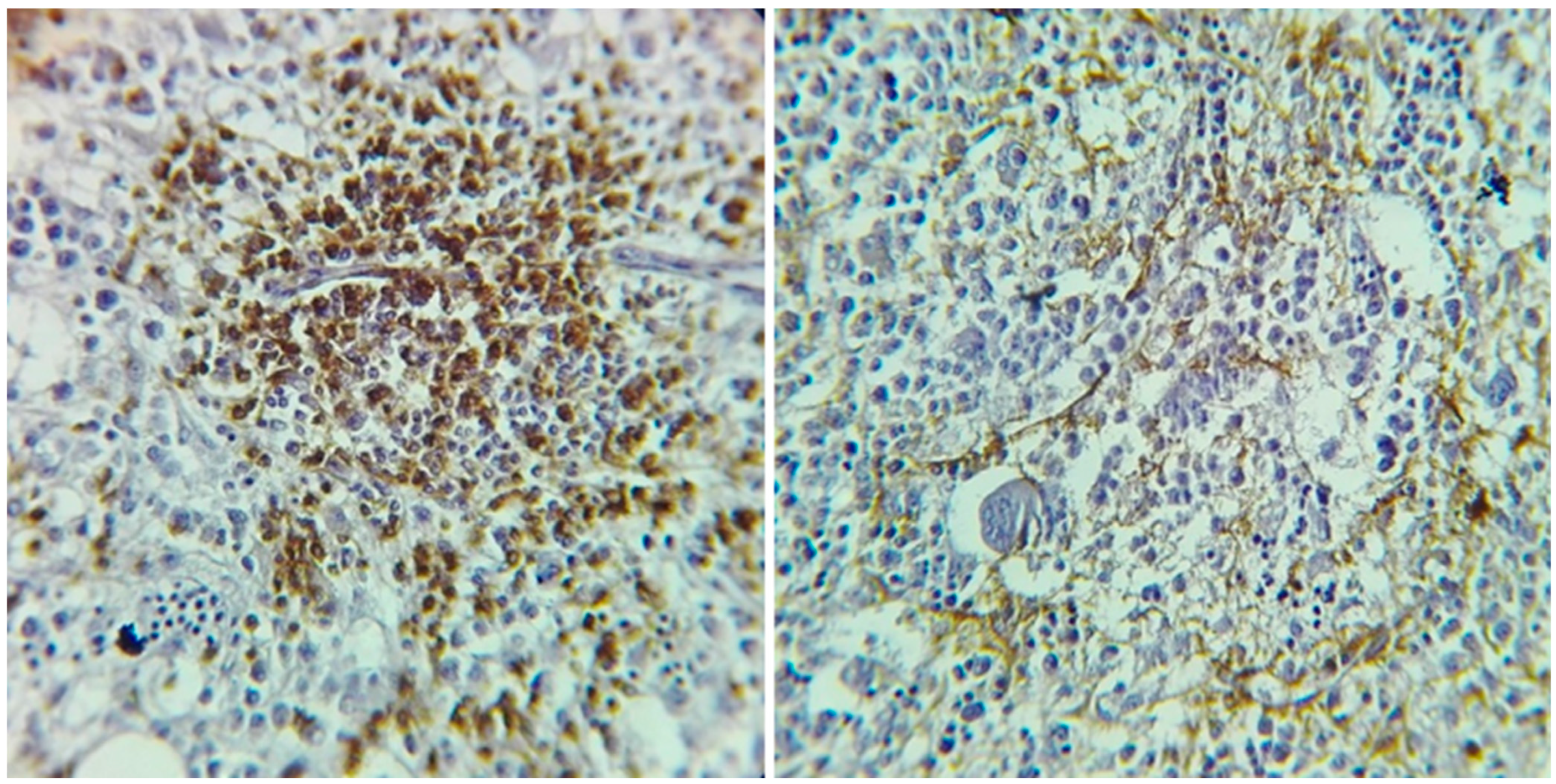 Jcm 14 05743 g005 Jcm 14 05743 g005