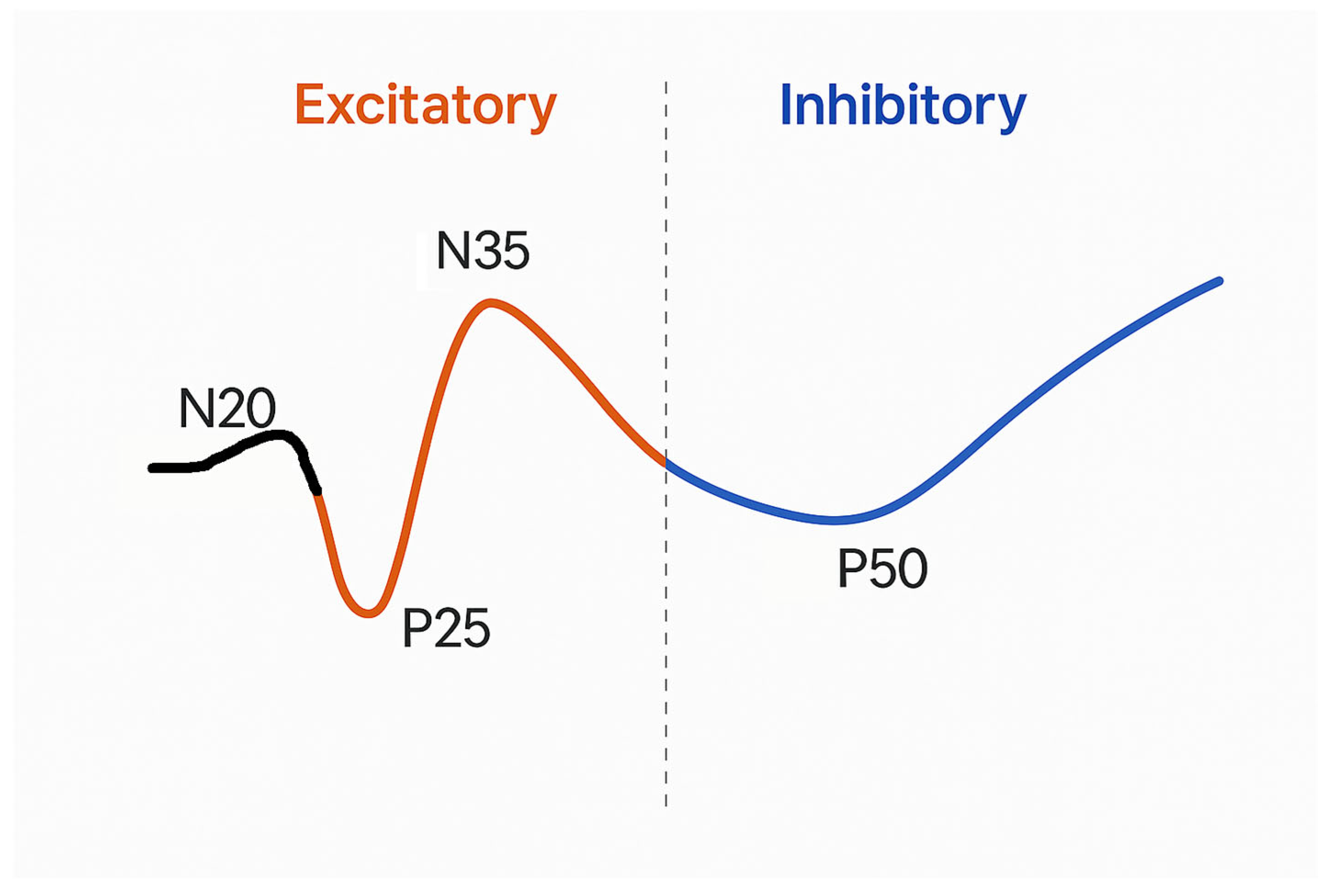 Jcm 14 05755 g001 Jcm 14 05755 g001