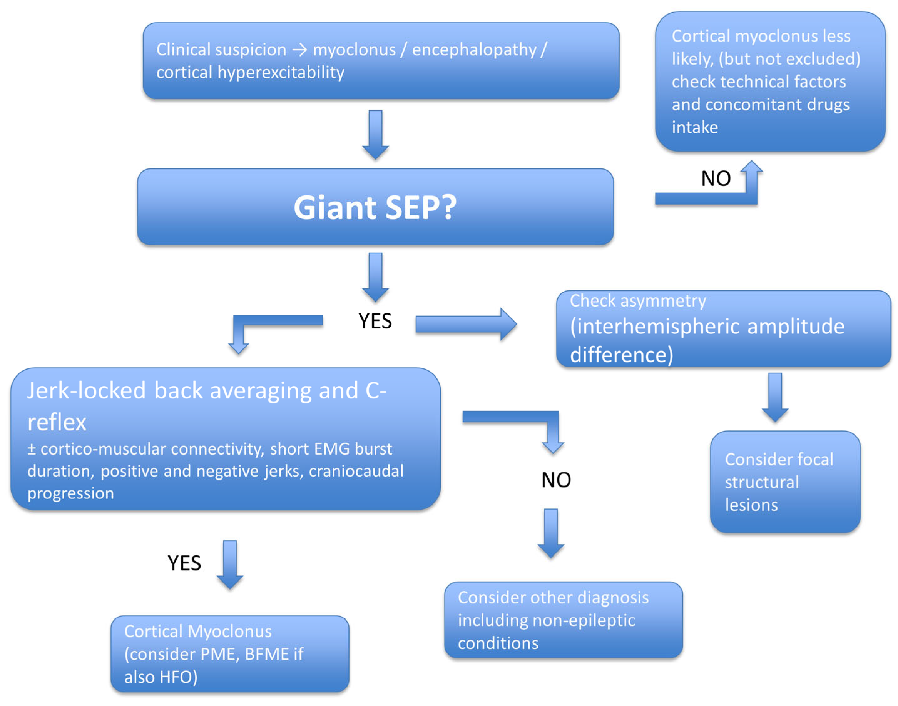 Jcm 14 05755 g002 Jcm 14 05755 g002