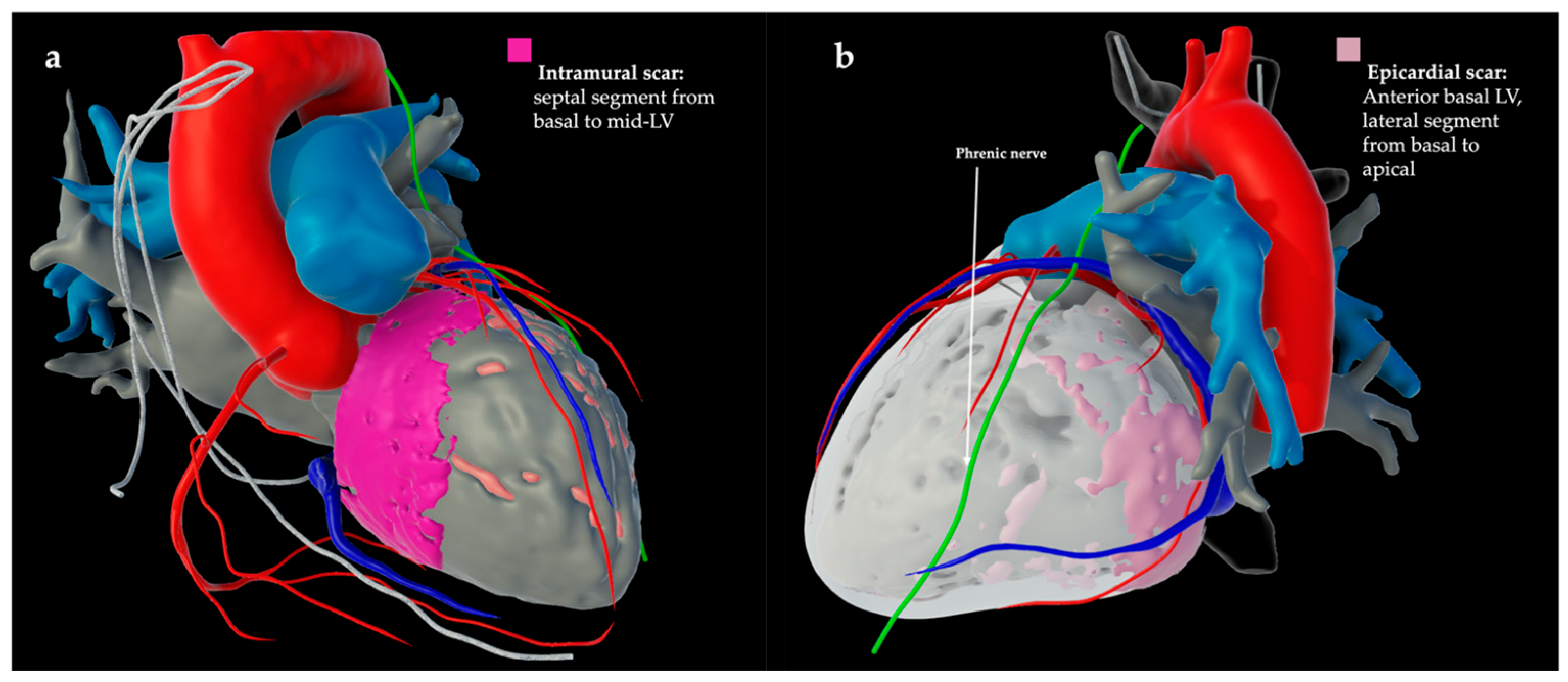 Jcm 14 05801 g001 Jcm 14 05801 g001