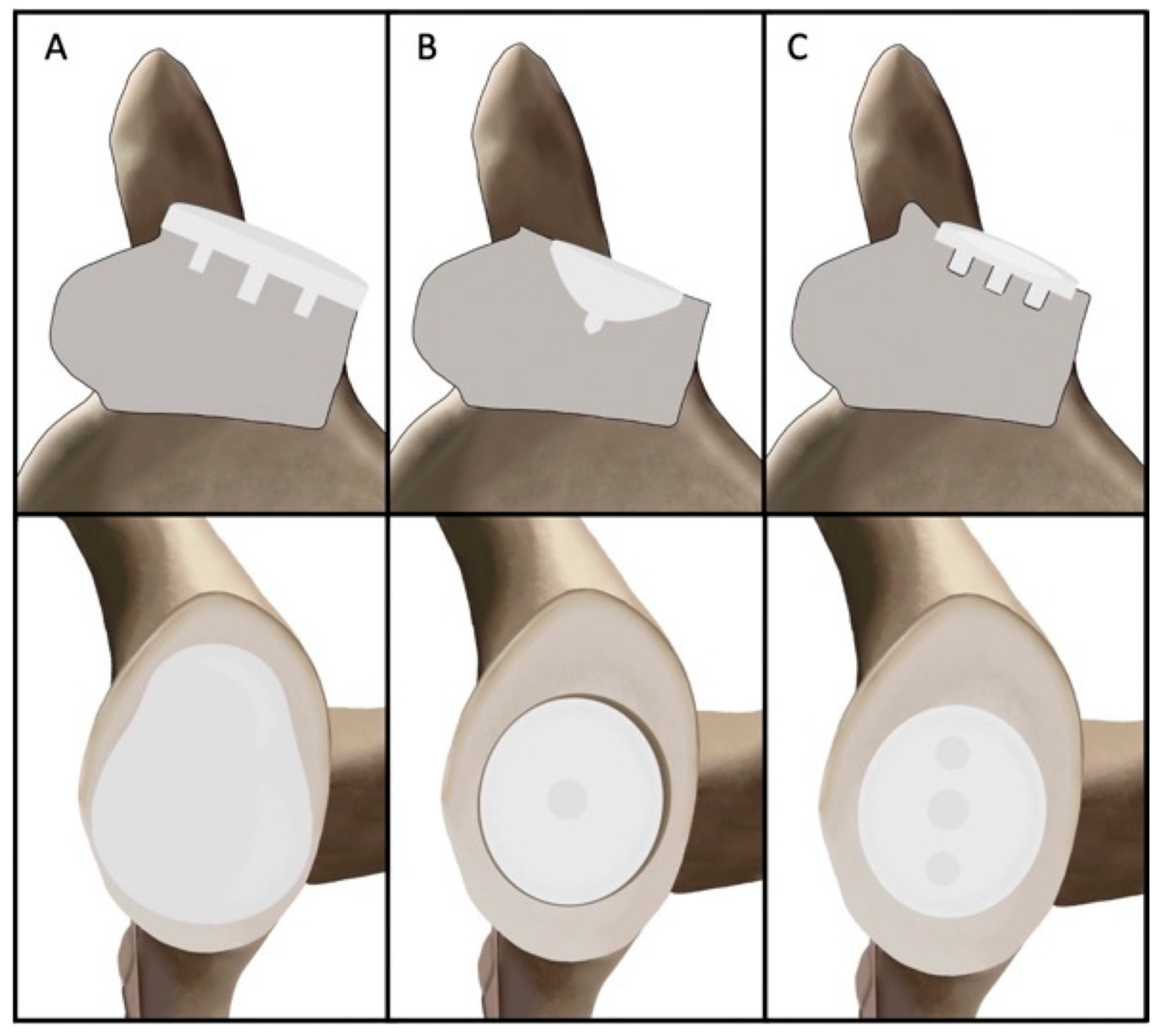 Jcm 14 05820 g001 Jcm 14 05820 g001