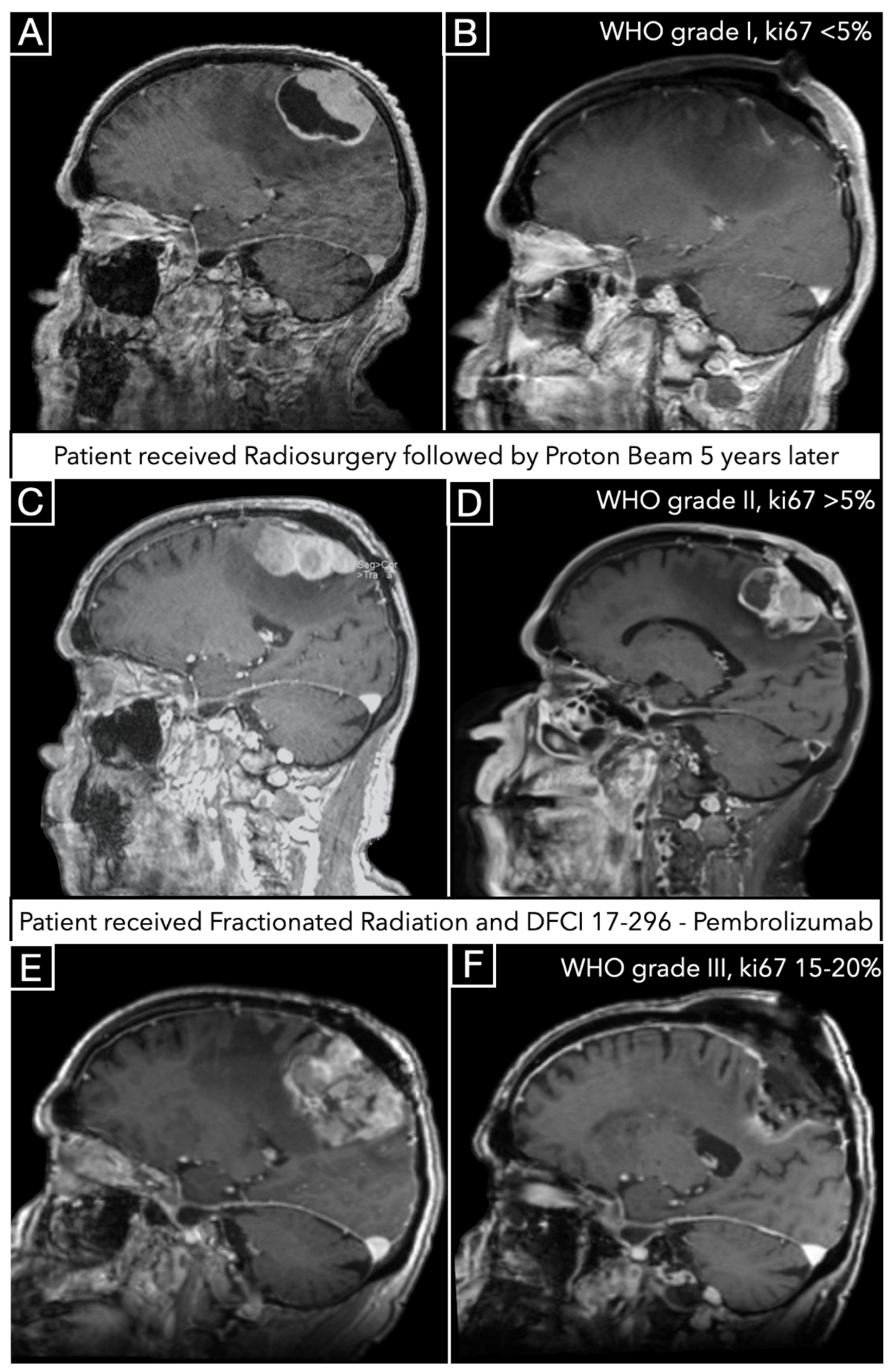 Jcm 14 05829 g004 Jcm 14 05829 g004